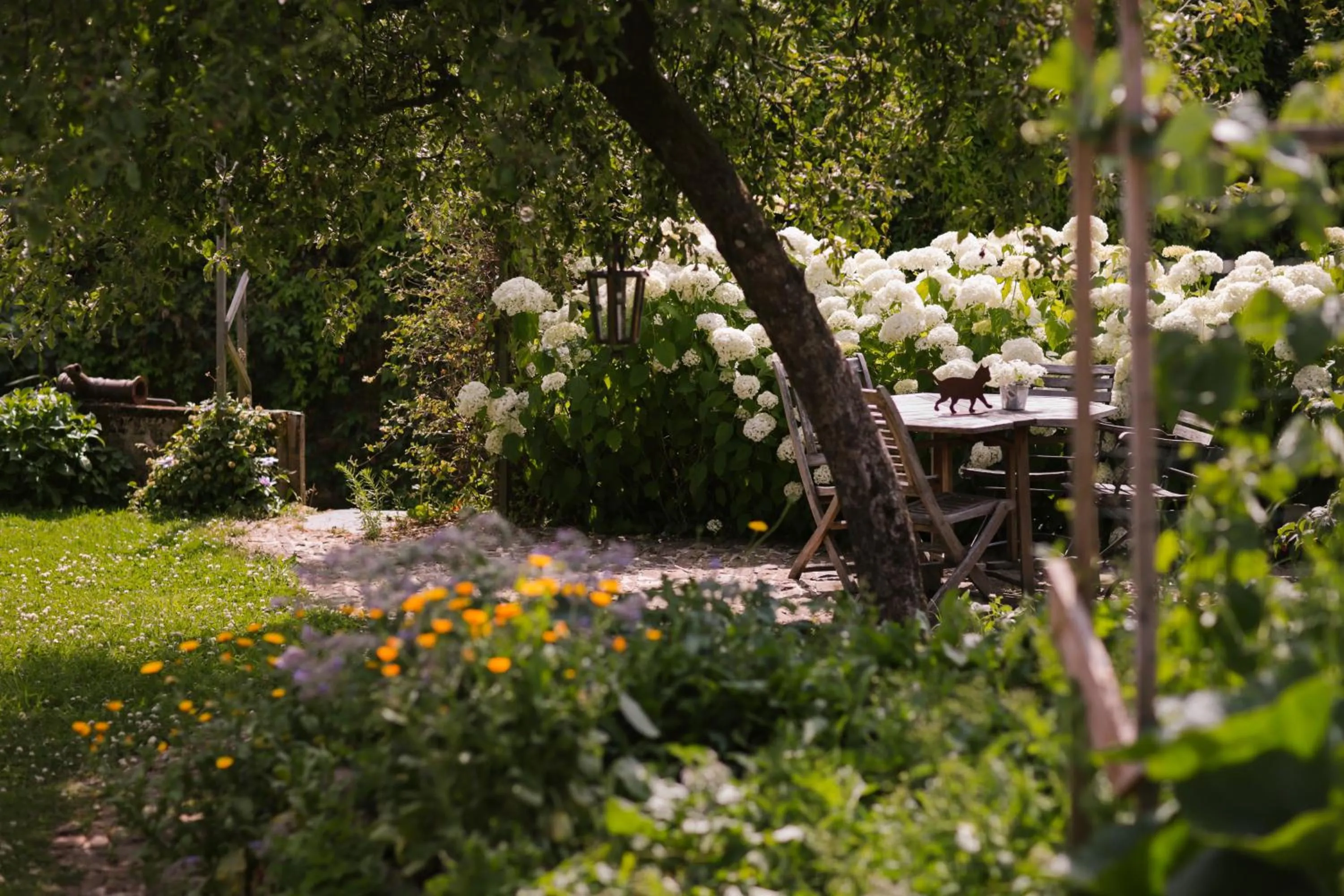 Patio in Les Chambres du Chat