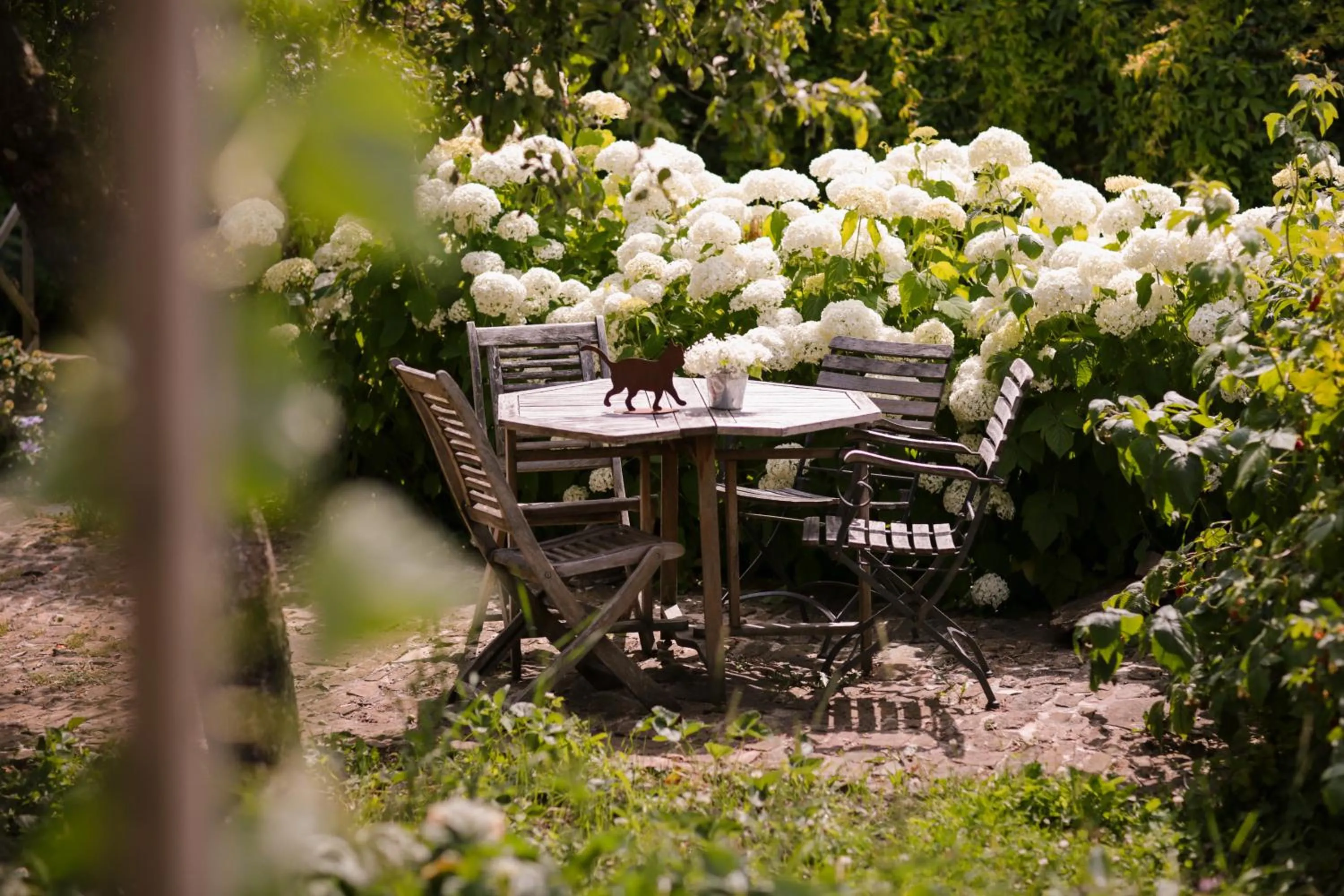 Patio in Les Chambres du Chat