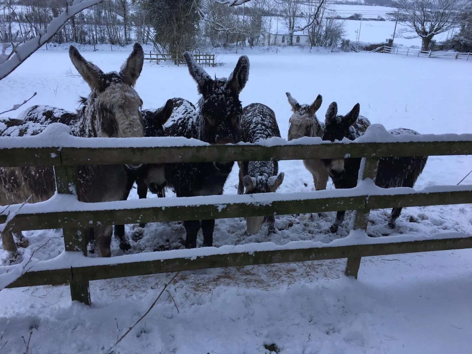 Winter in Barnabrow Country House