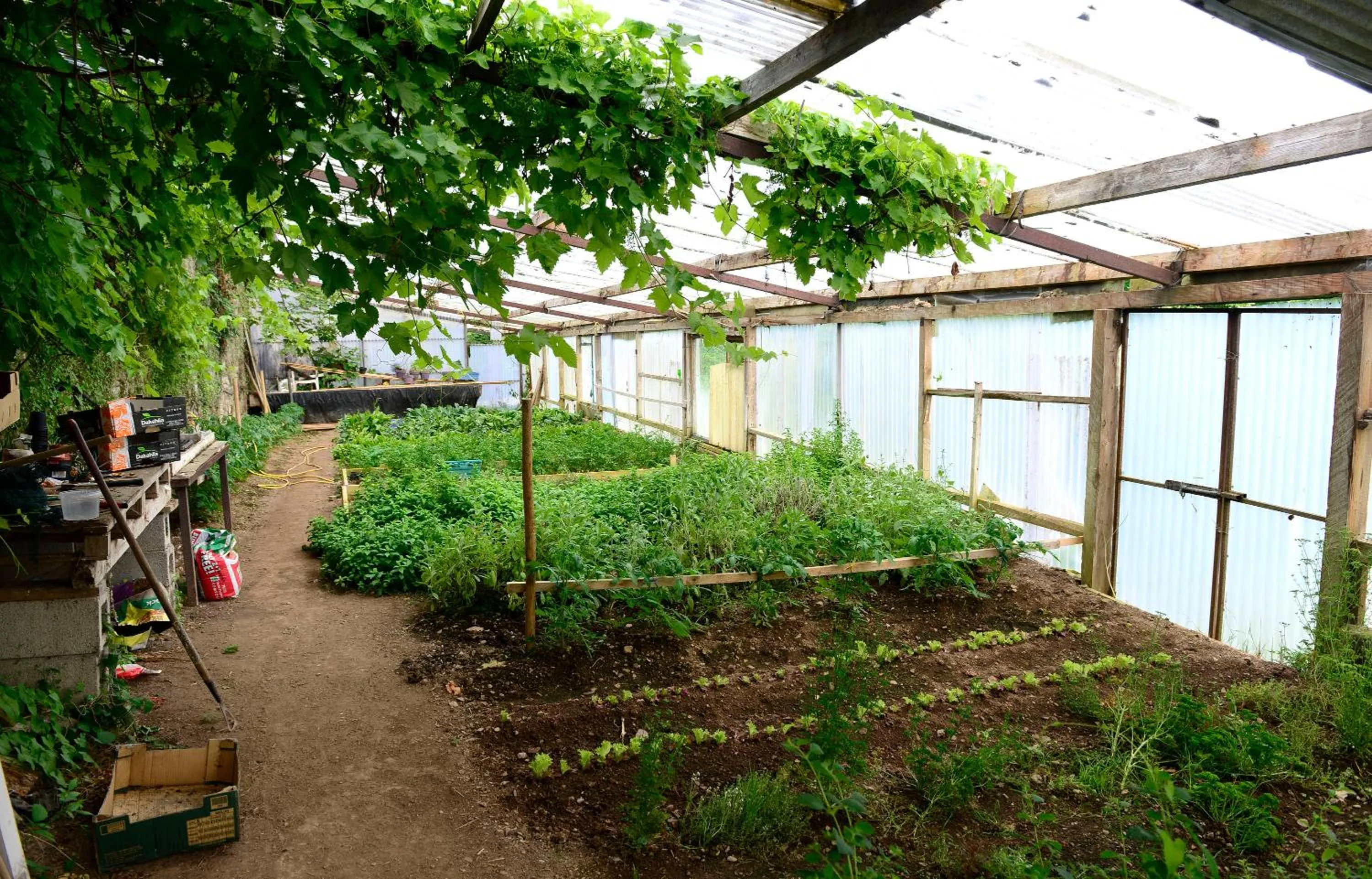 Other in Barnabrow Country House