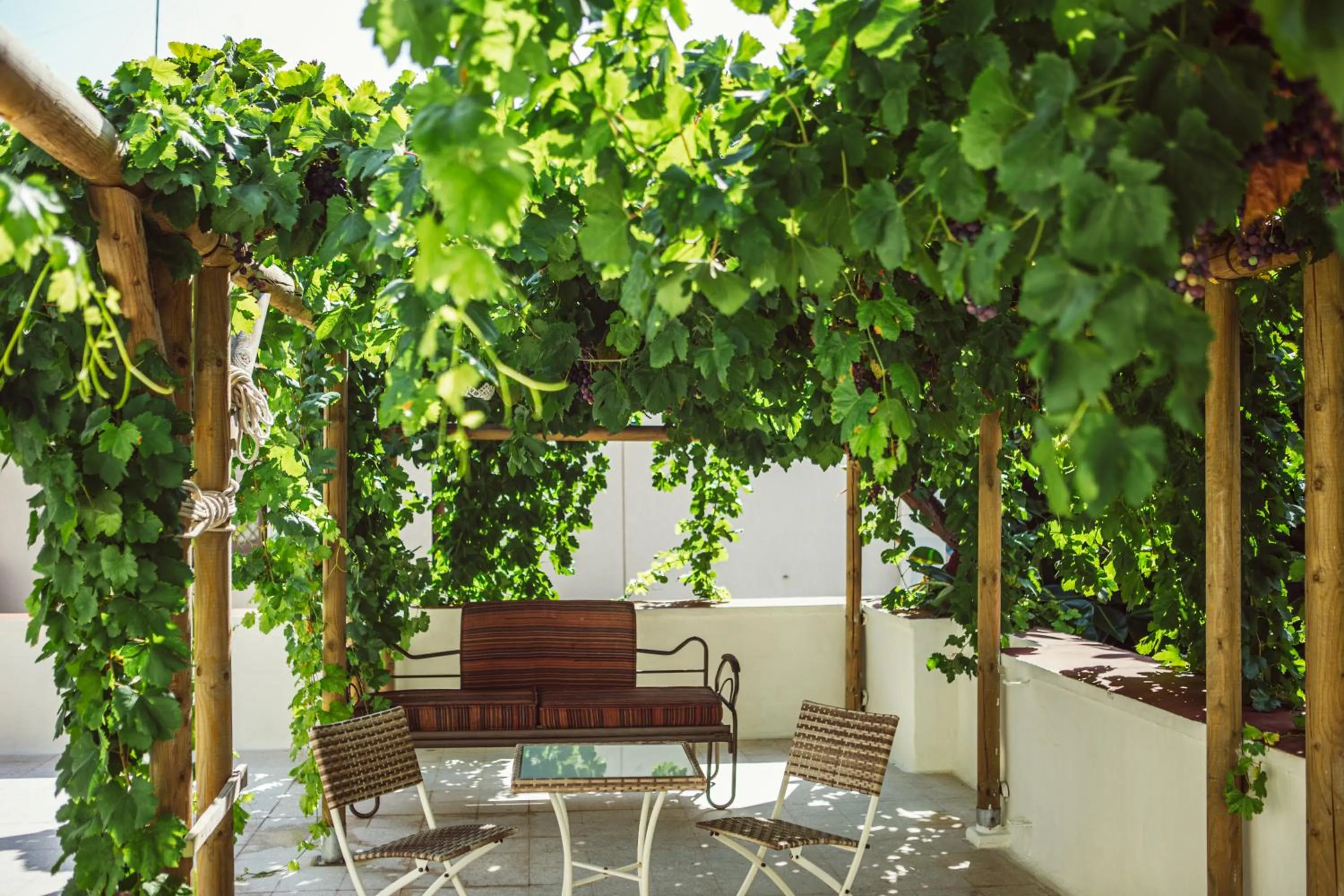 Patio in Casa Duconte