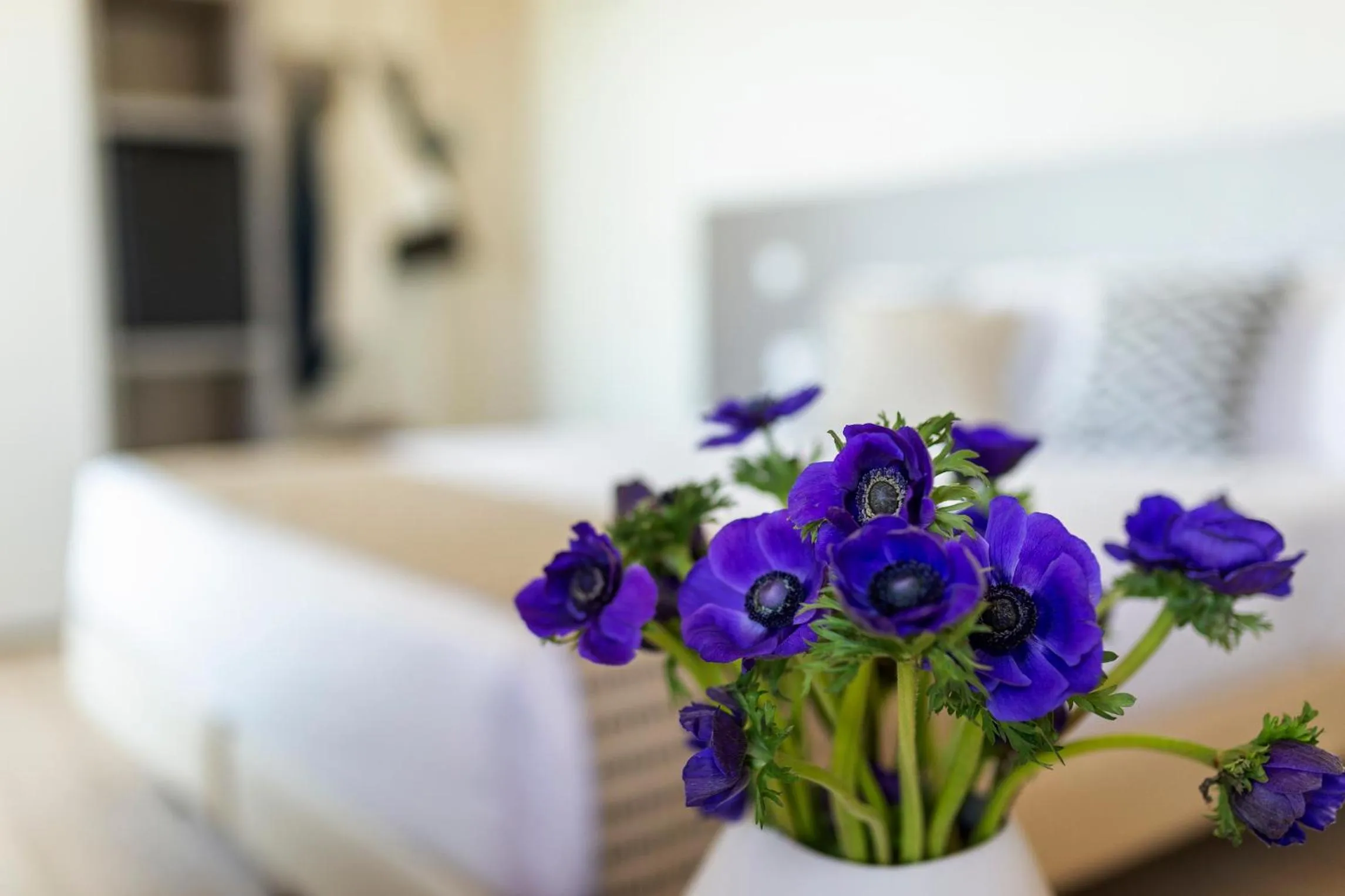 Photo of the whole room, Bed in Little Hotel