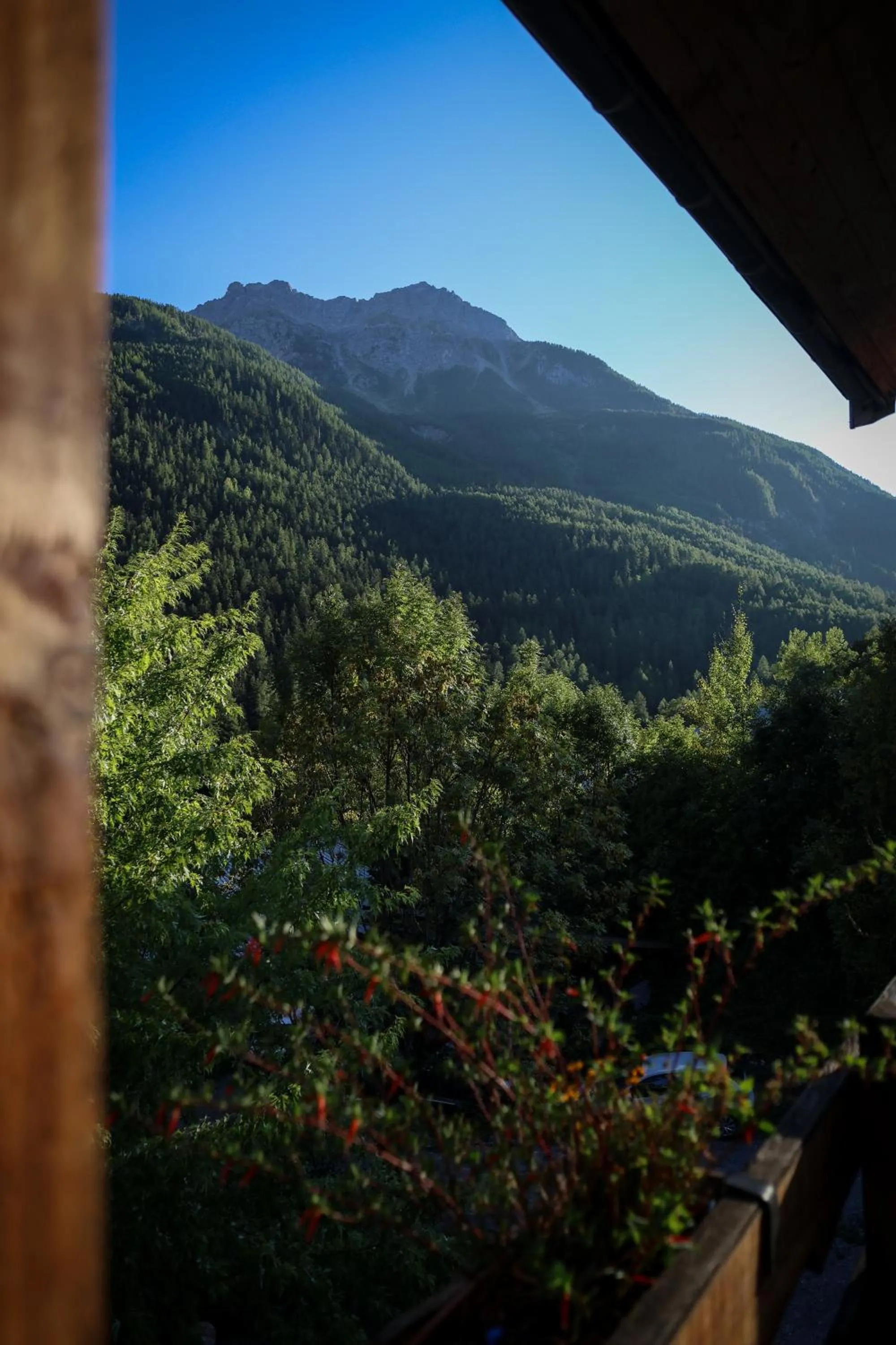 Day in Hôtel Restaurant Gîtes Les 5 Saisons