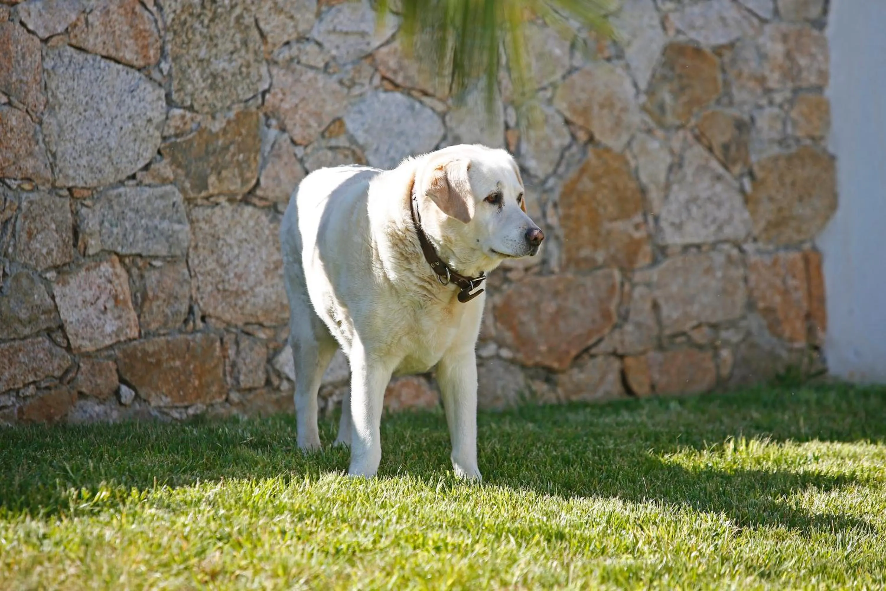 Hôtel Funtana Marina