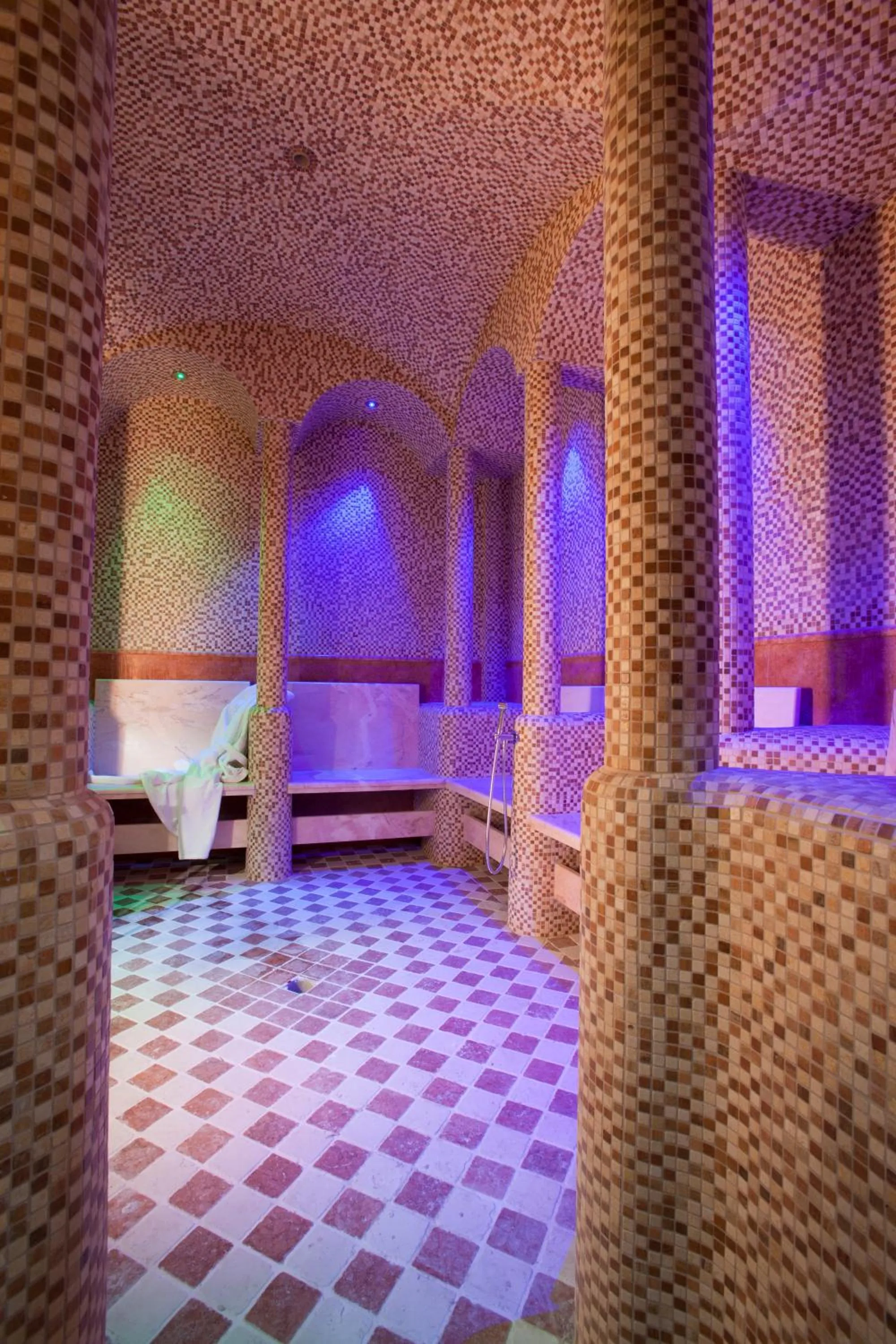 Spa and wellness centre/facilities in Palace Hotel Legnano