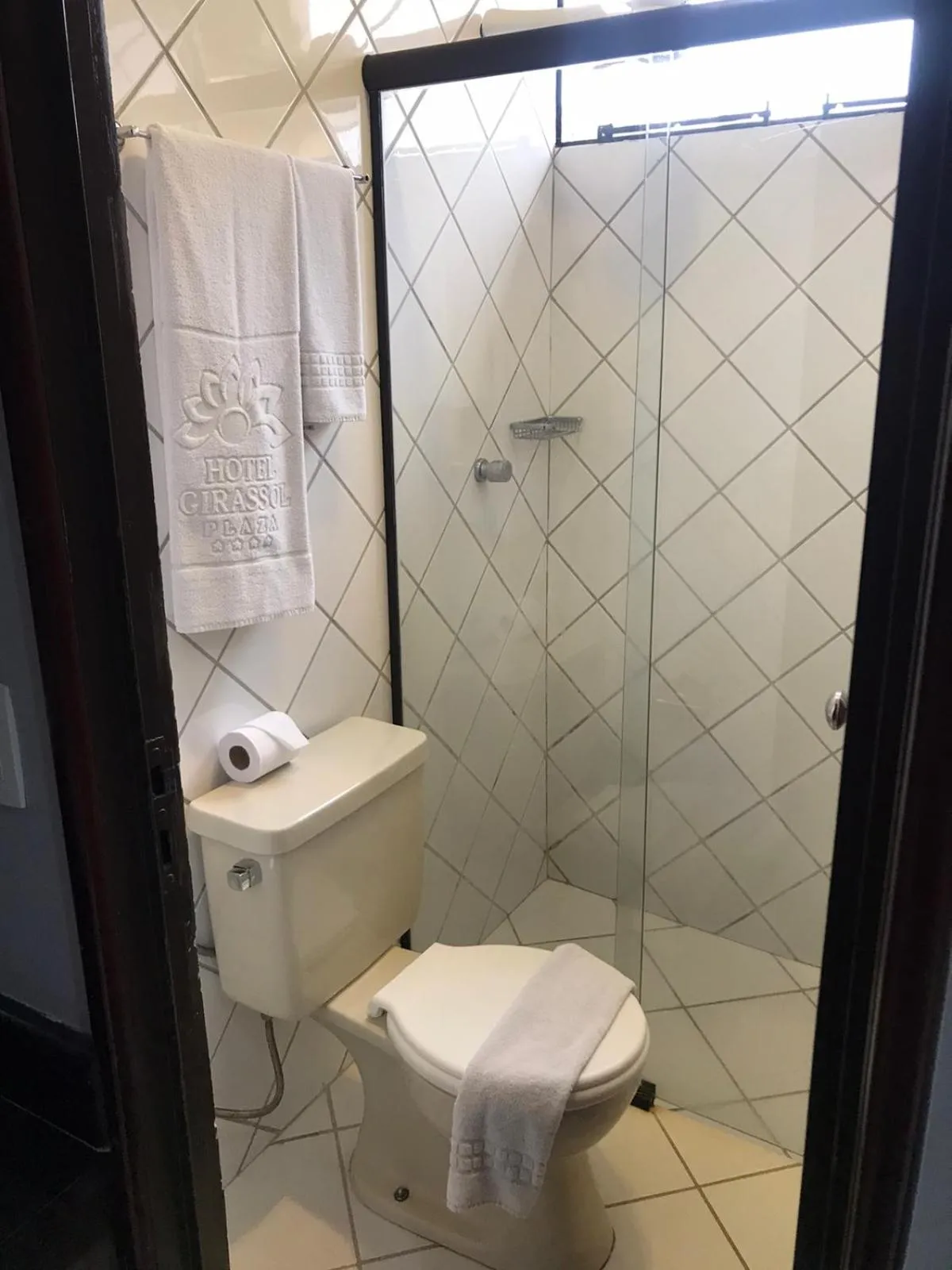 Shower in Pousada dos Girassóis