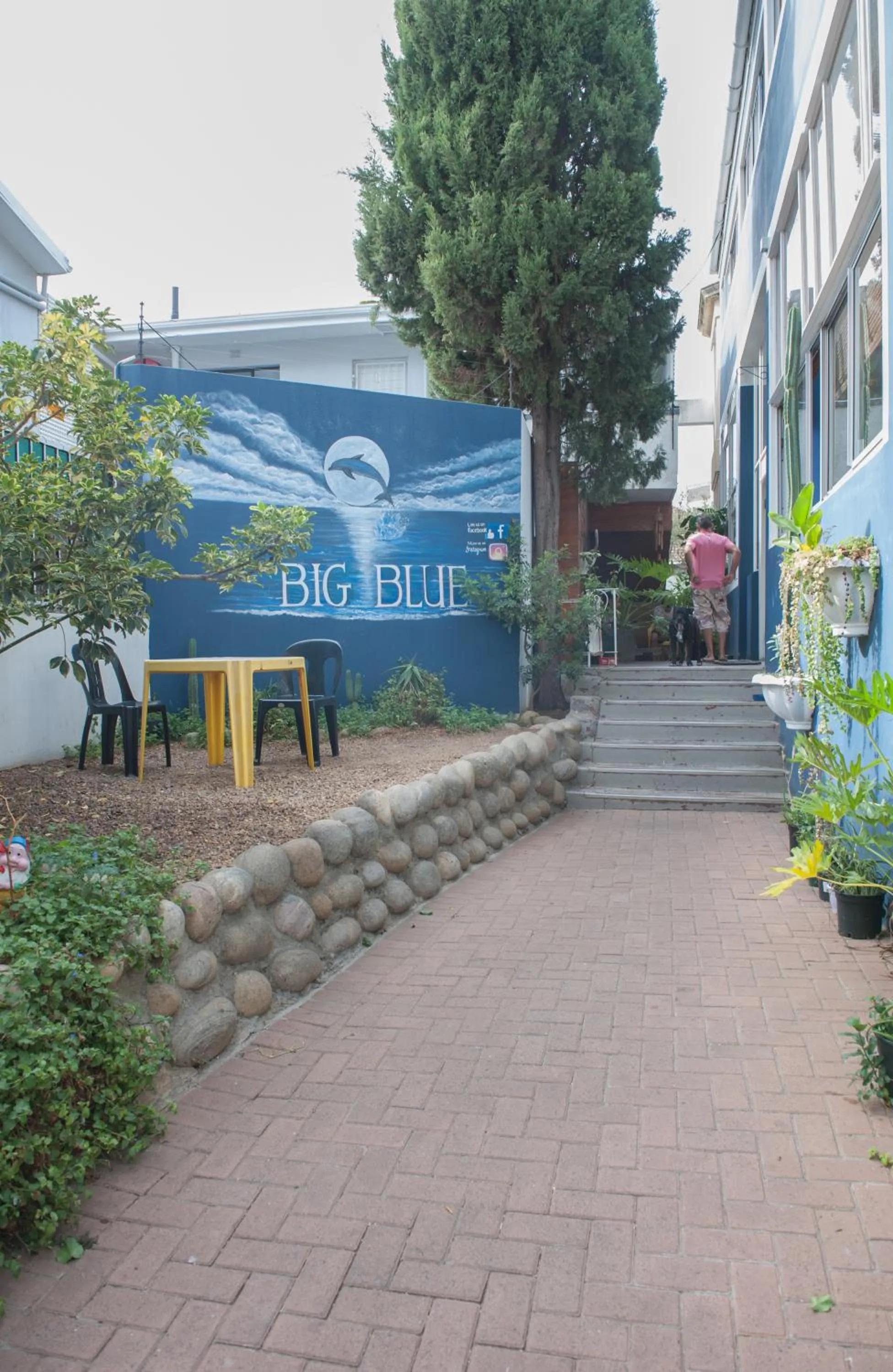 Facade/entrance in Big Blue Backpackers