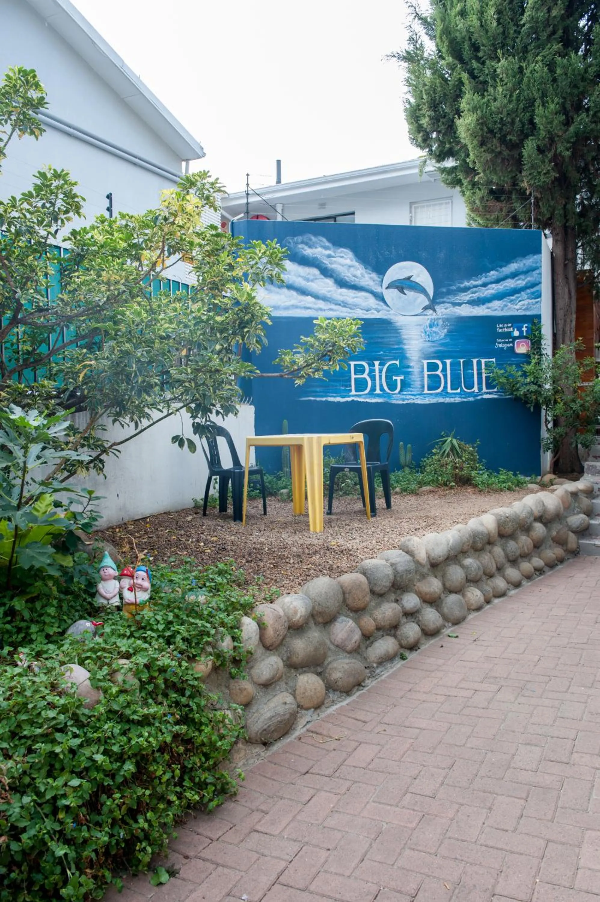 Garden view in Big Blue Backpackers