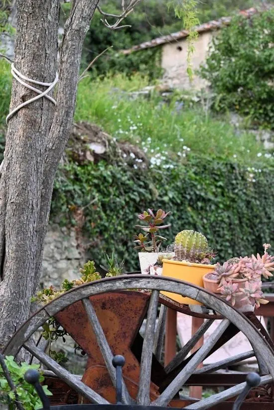 Agriturismo CasaMatta Azienda Agricola