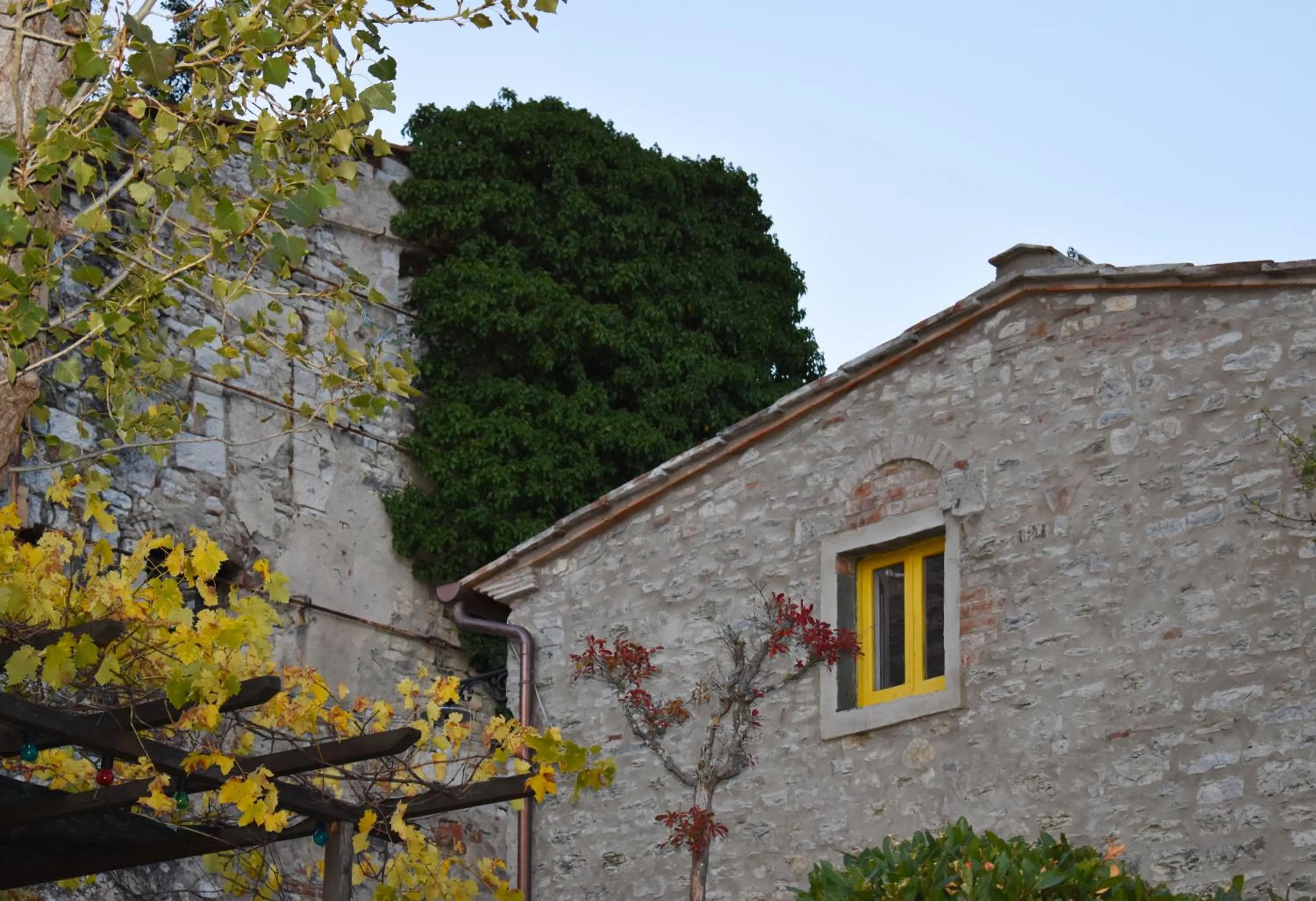 Agriturismo CasaMatta Azienda Agricola