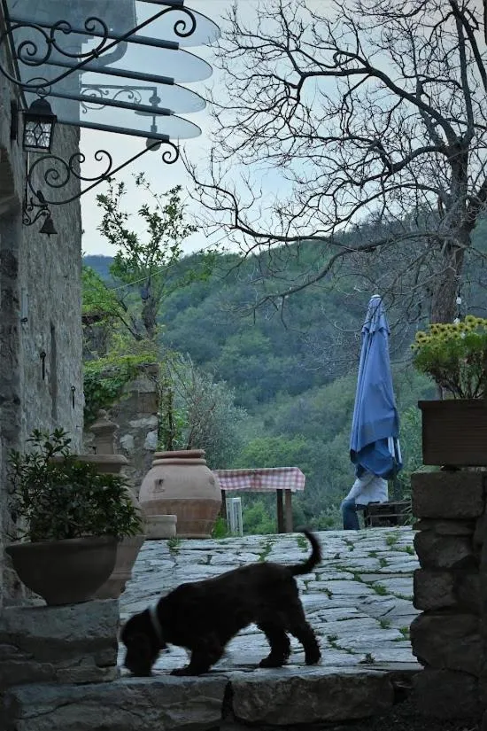 Agriturismo CasaMatta Azienda Agricola