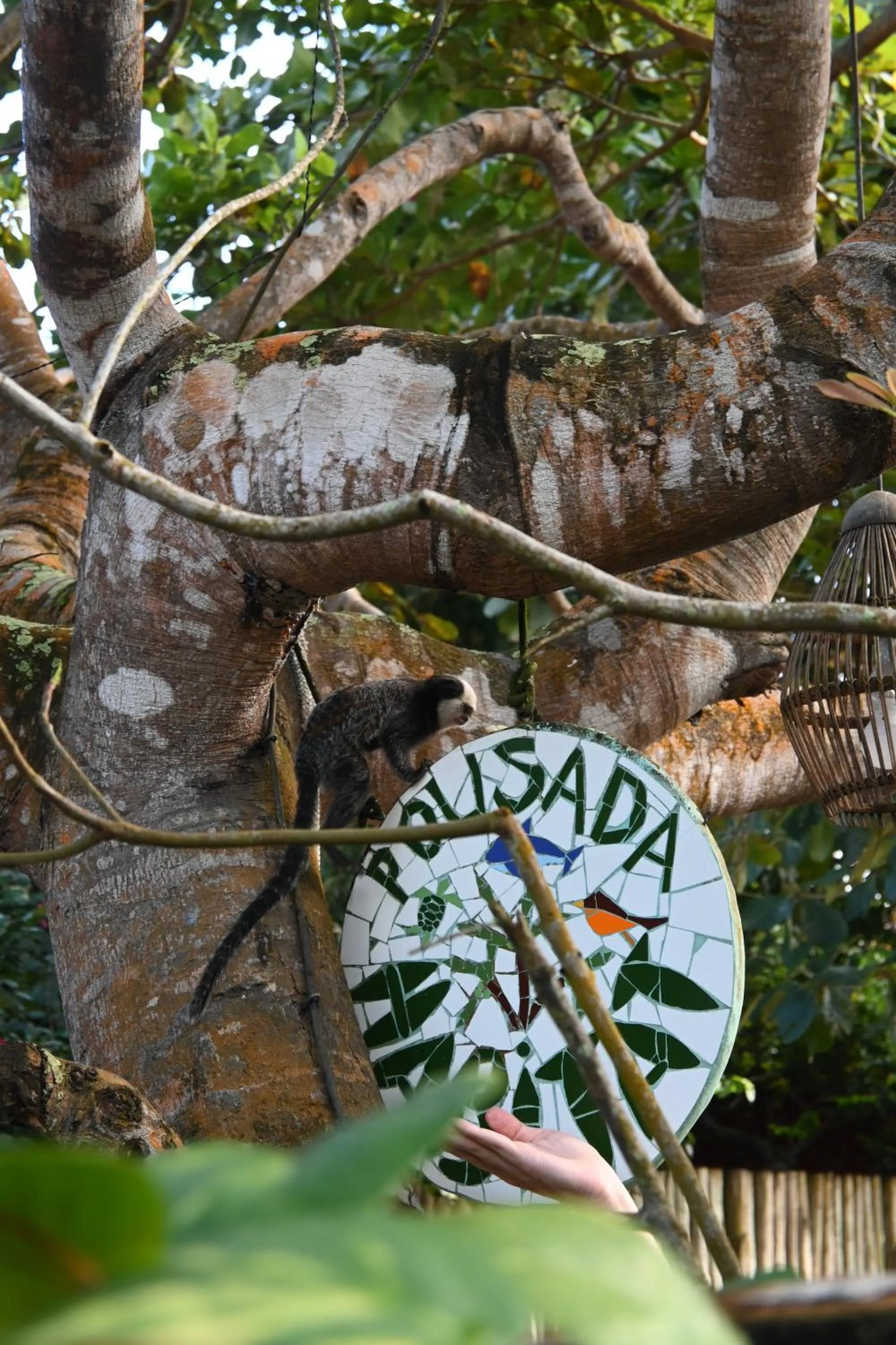 Property logo or sign in Pousada Habitat Caraíva