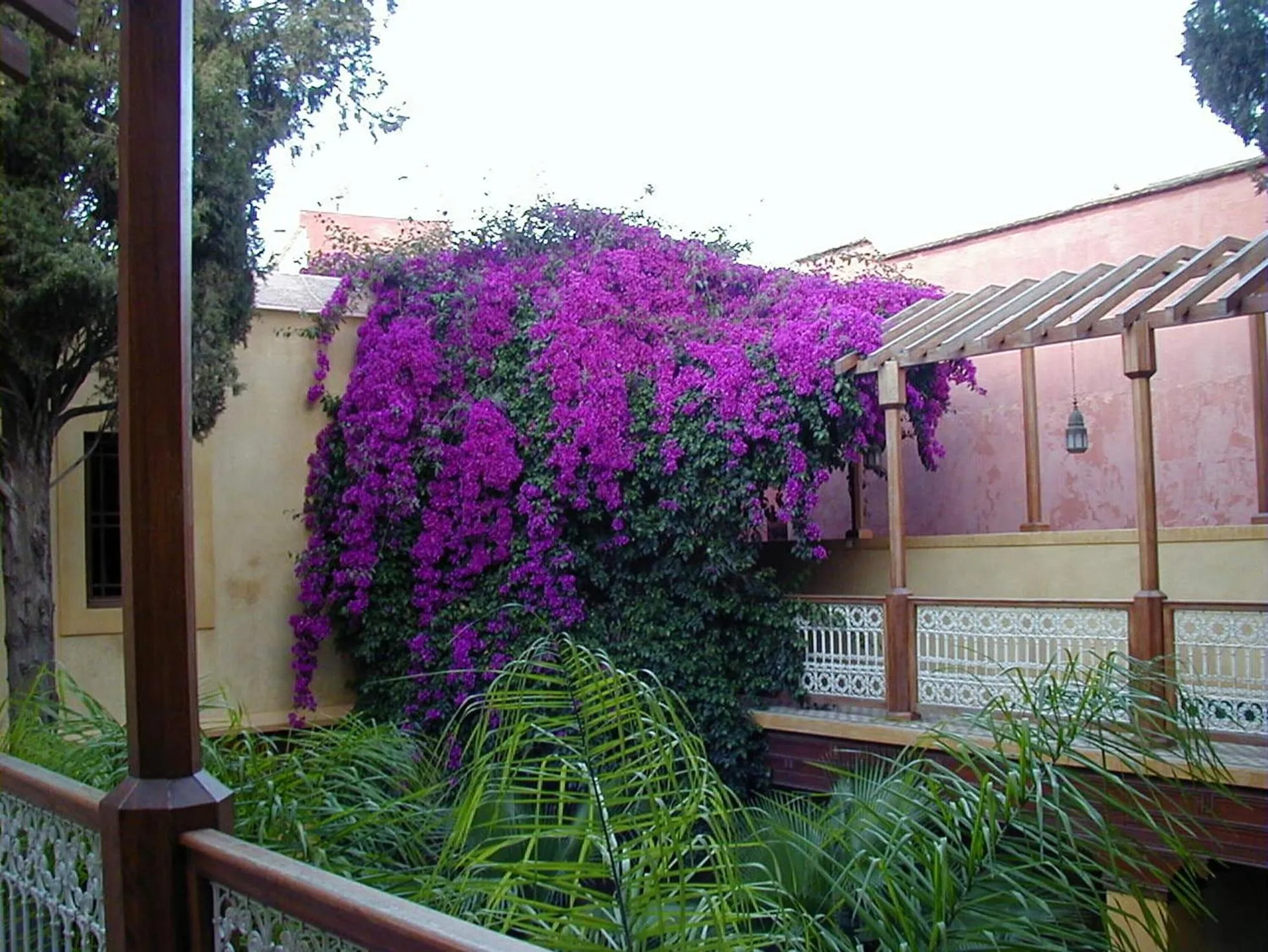 Decorative detail in Riyad Al Moussika
