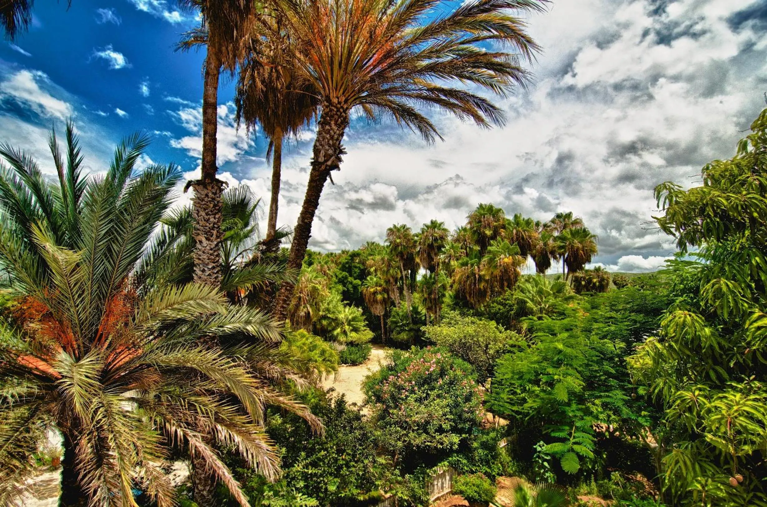 Garden in Hacienda Todos Los Santos