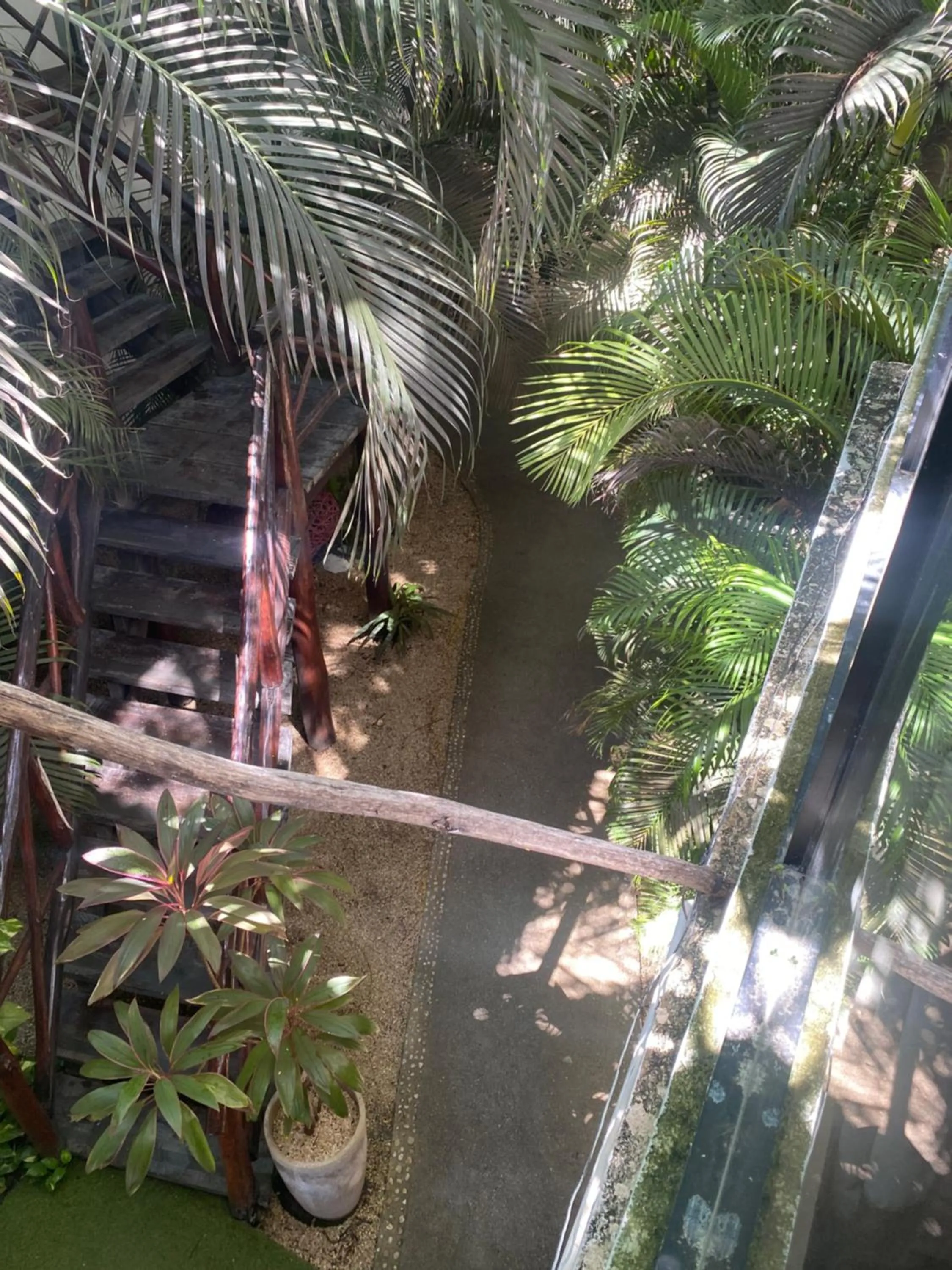 View (from property/room) in Pacha Tulum Boutique Hotel