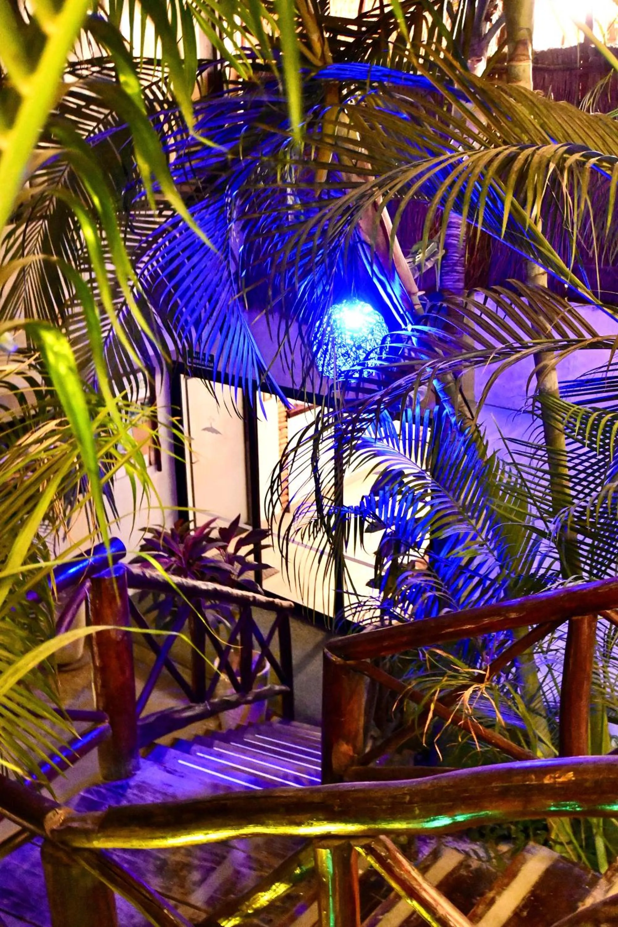 Garden in Pacha Tulum Boutique Hotel