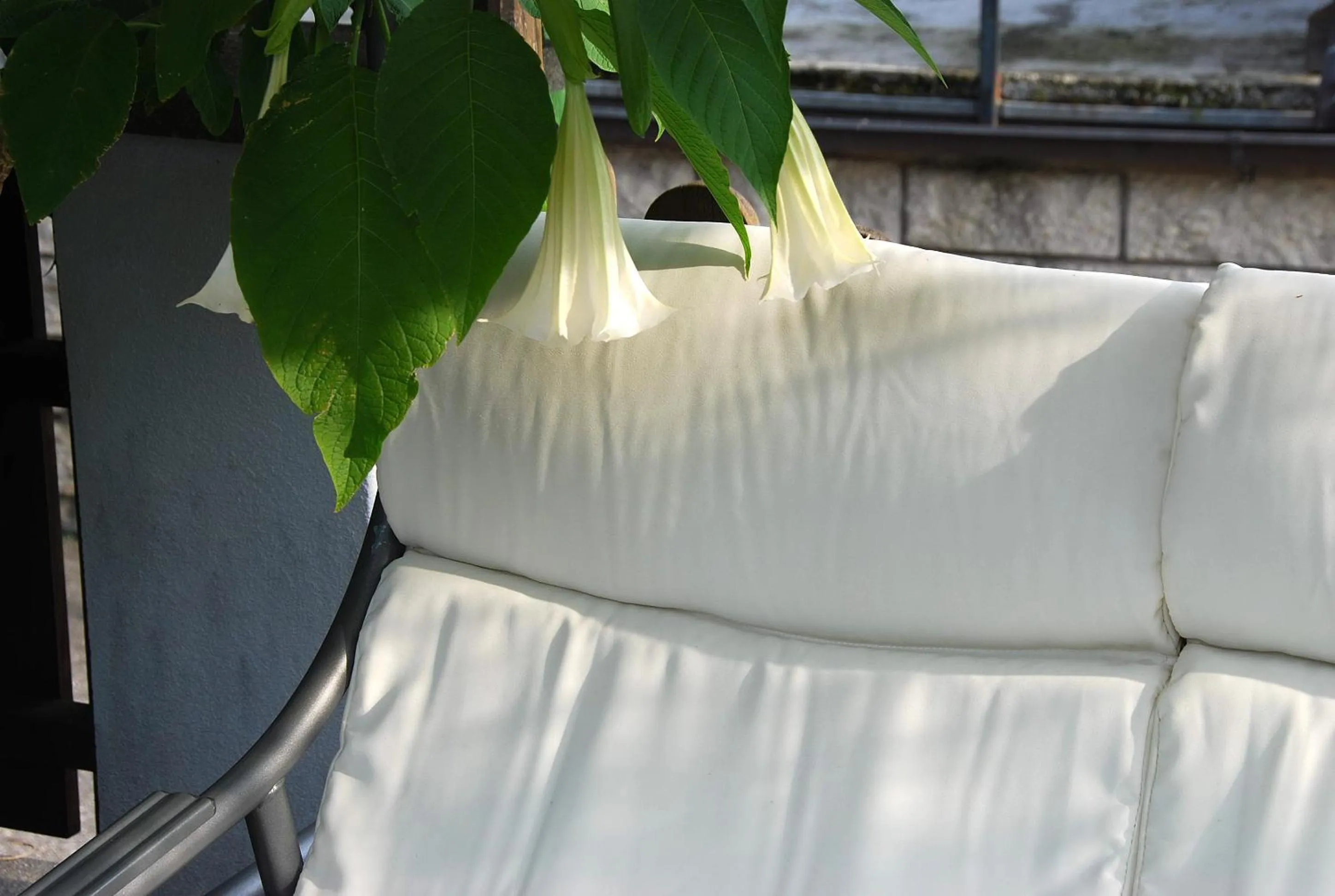 Garden in Hotel - Appartements Schmied Hans