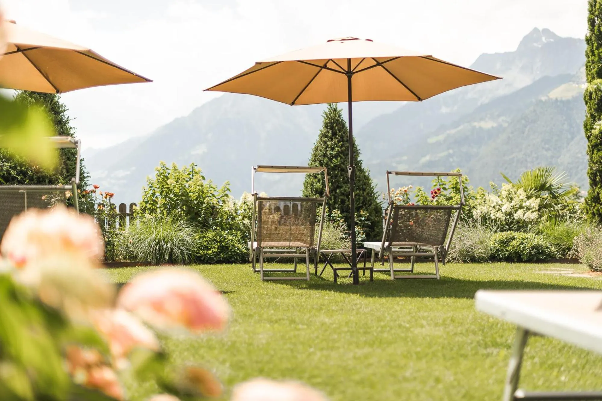 Summer in Hotel - Appartements Schmied Hans