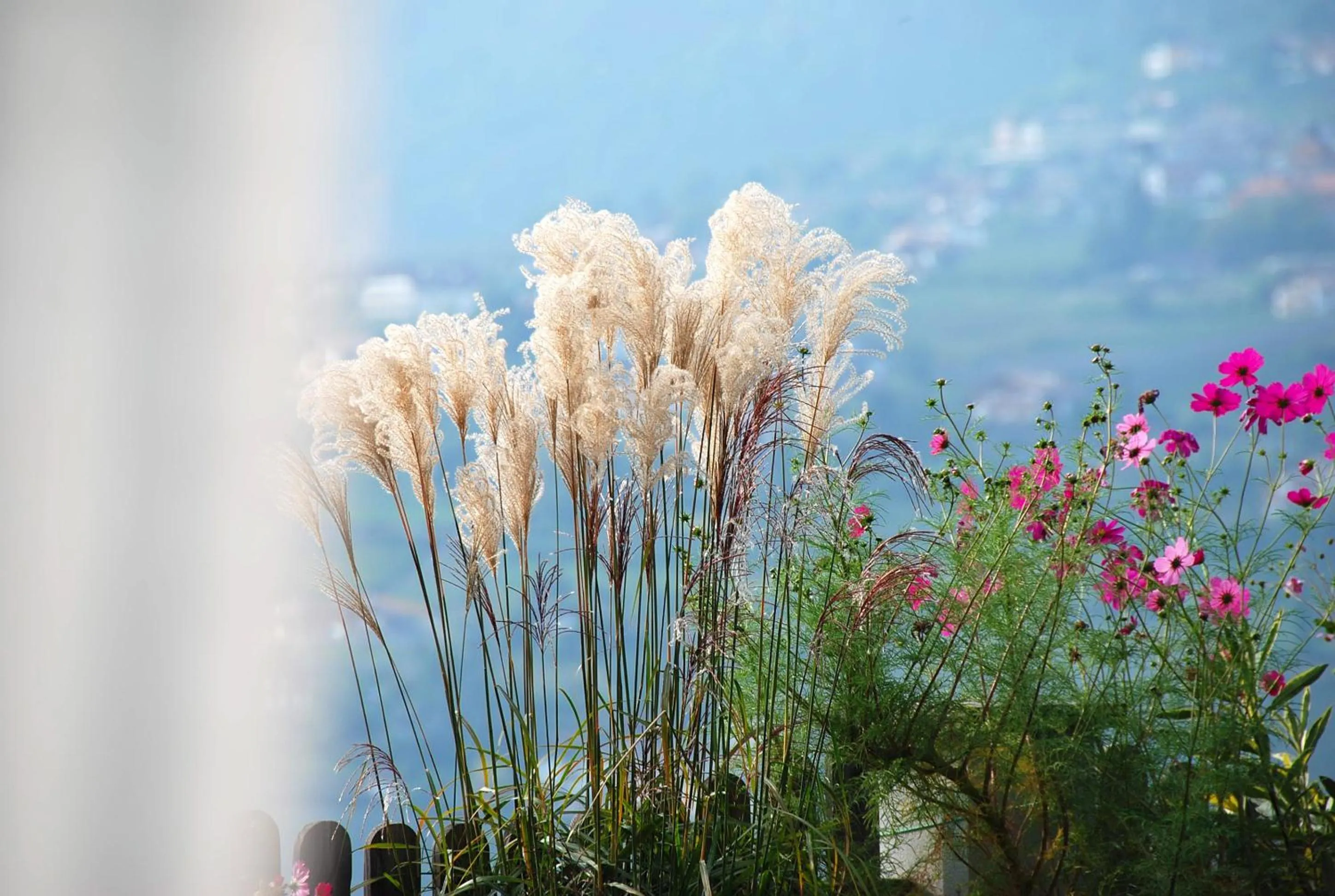 Day in Hotel - Appartements Schmied Hans