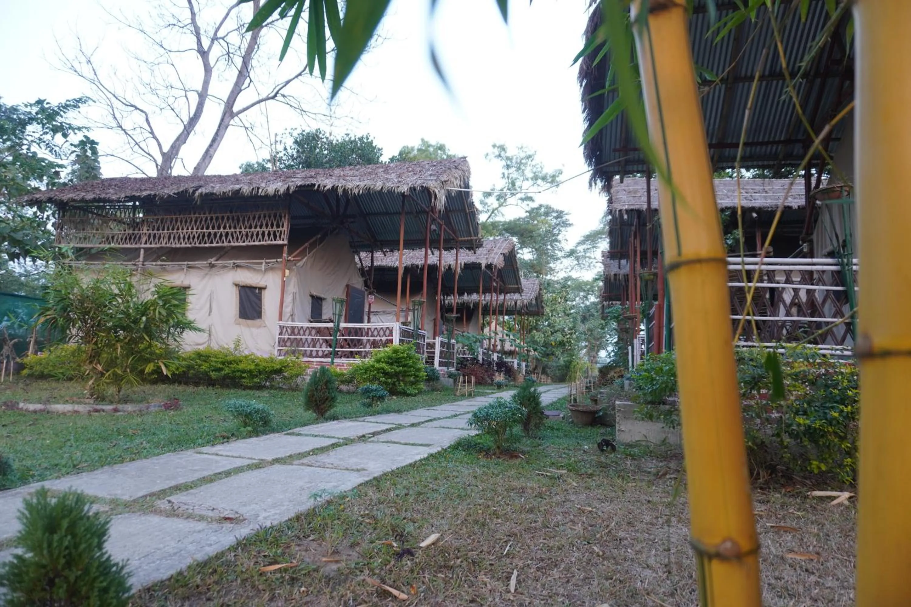 Kaziranga Eco Camp