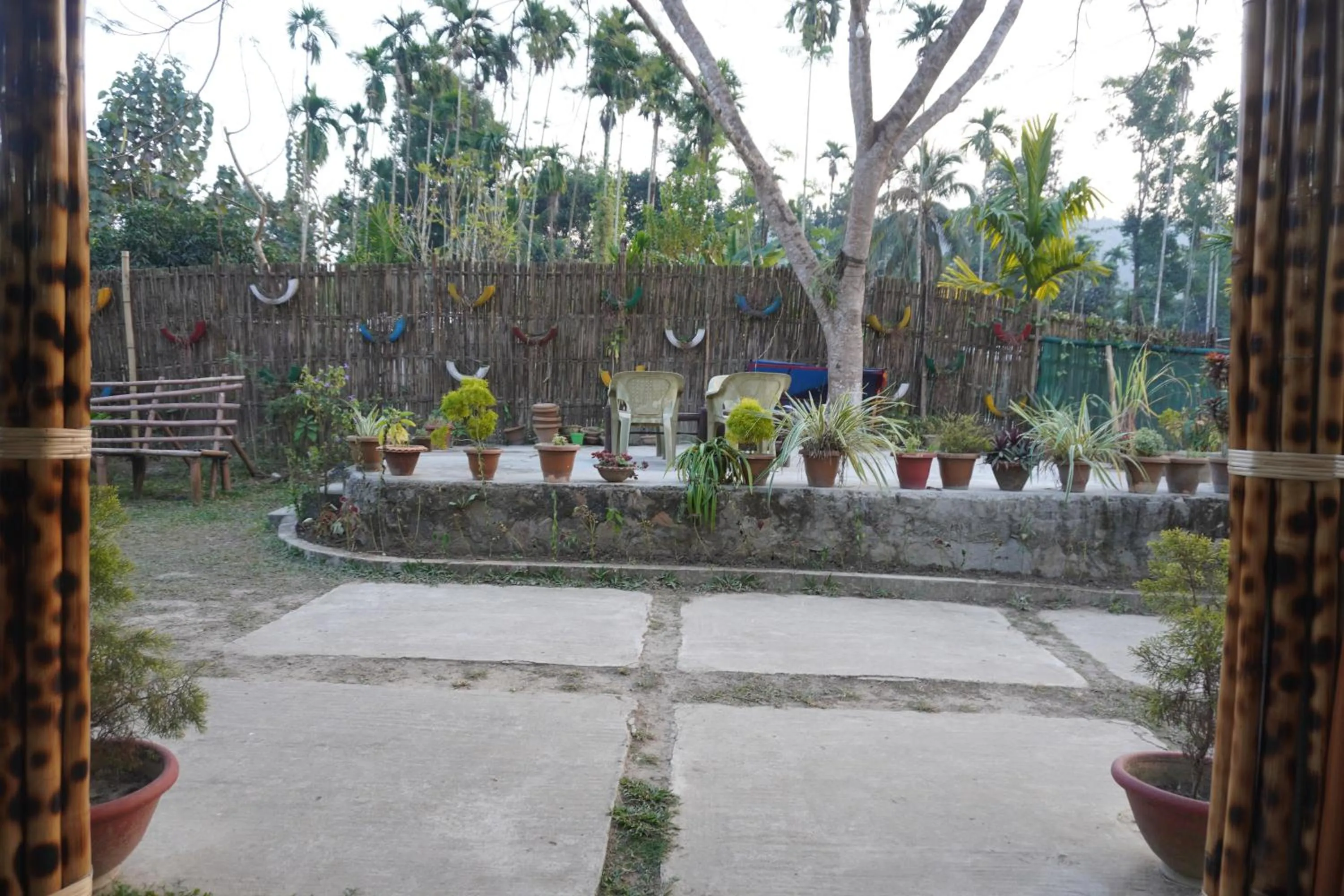 Kaziranga Eco Camp