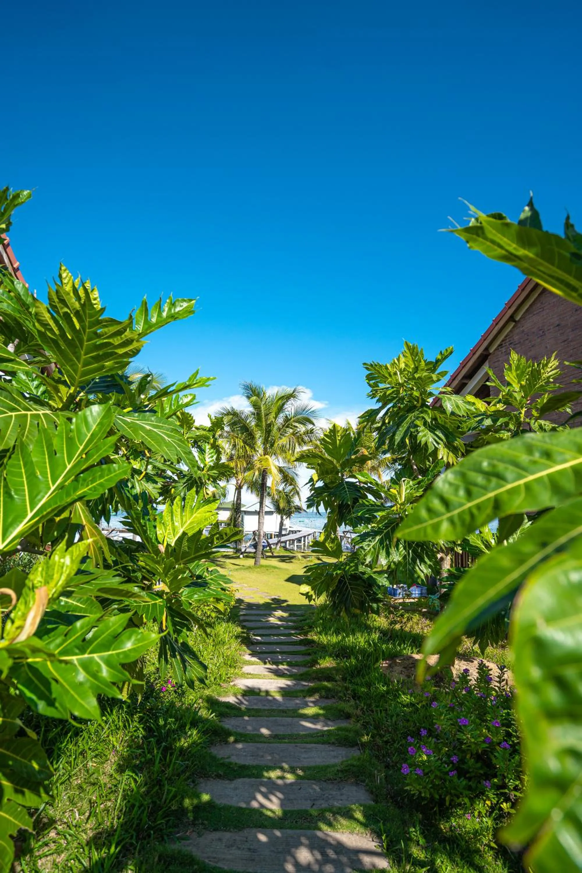 Spring in Lotus Home