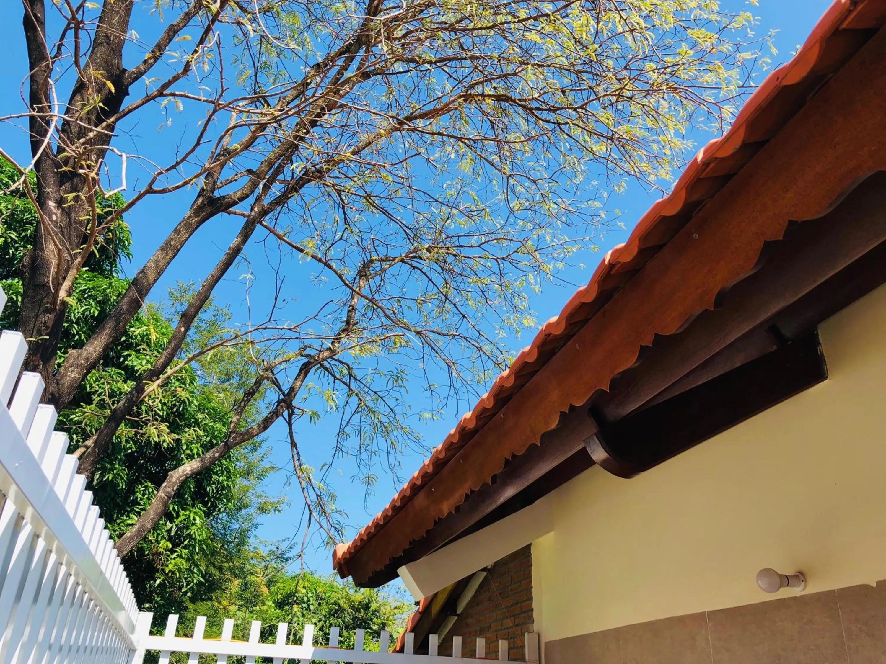 Natural landscape in Lotus Home