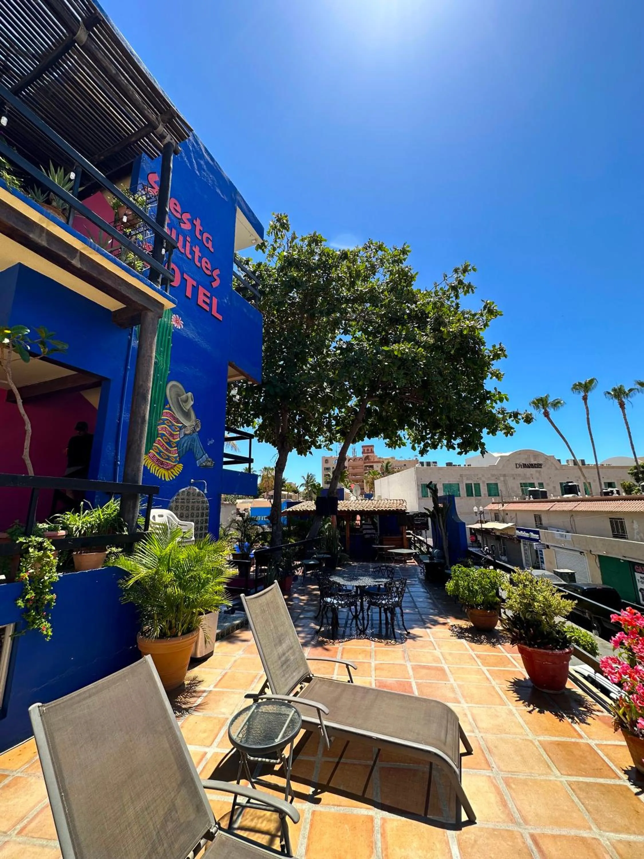 Balcony/Terrace in Siesta Suites Boutique Hotel
