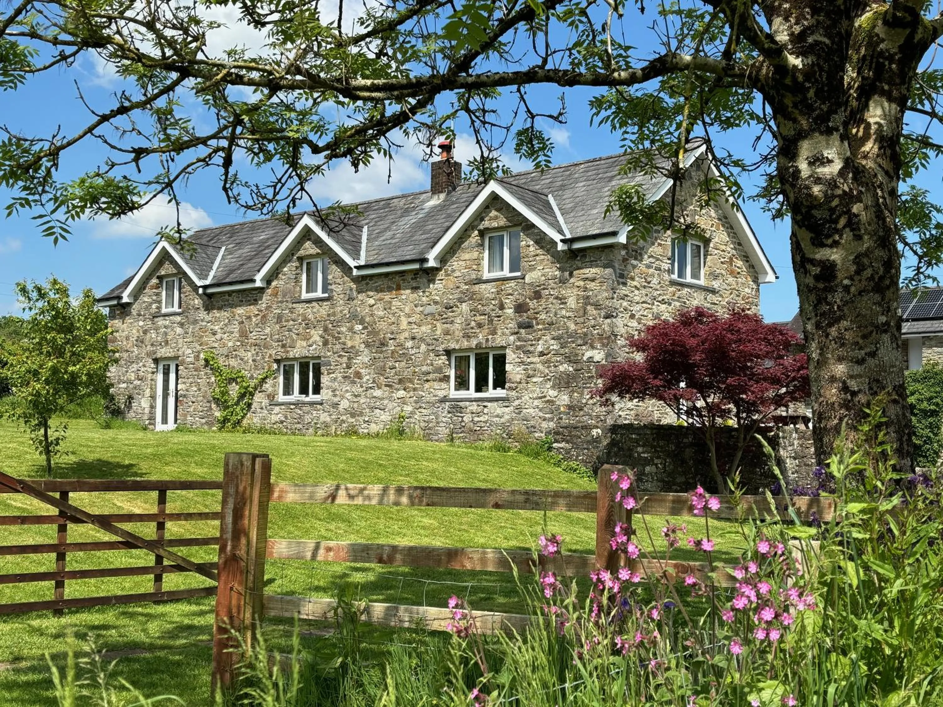 Maesyfelin Isaf B&B
