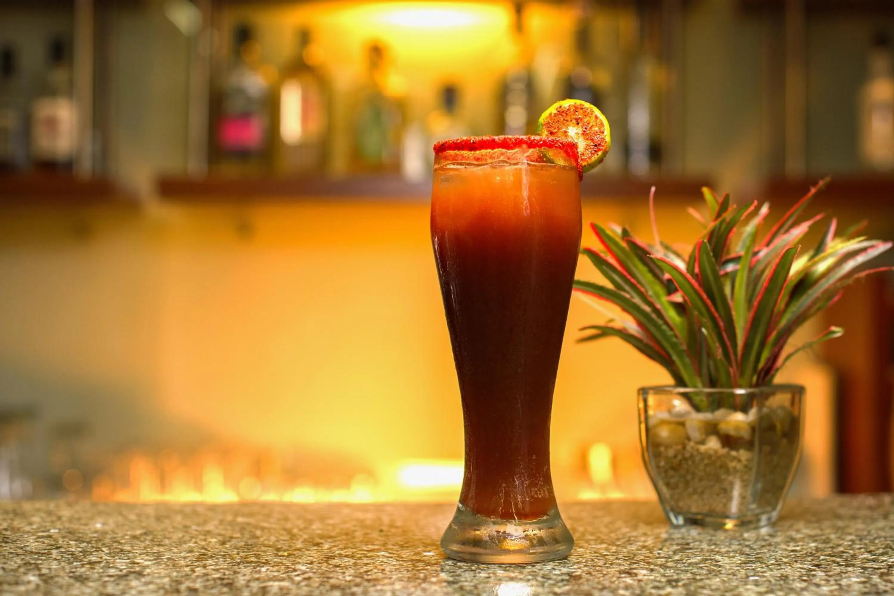 Lounge or bar in Hotel Aeropuerto Los Cabos