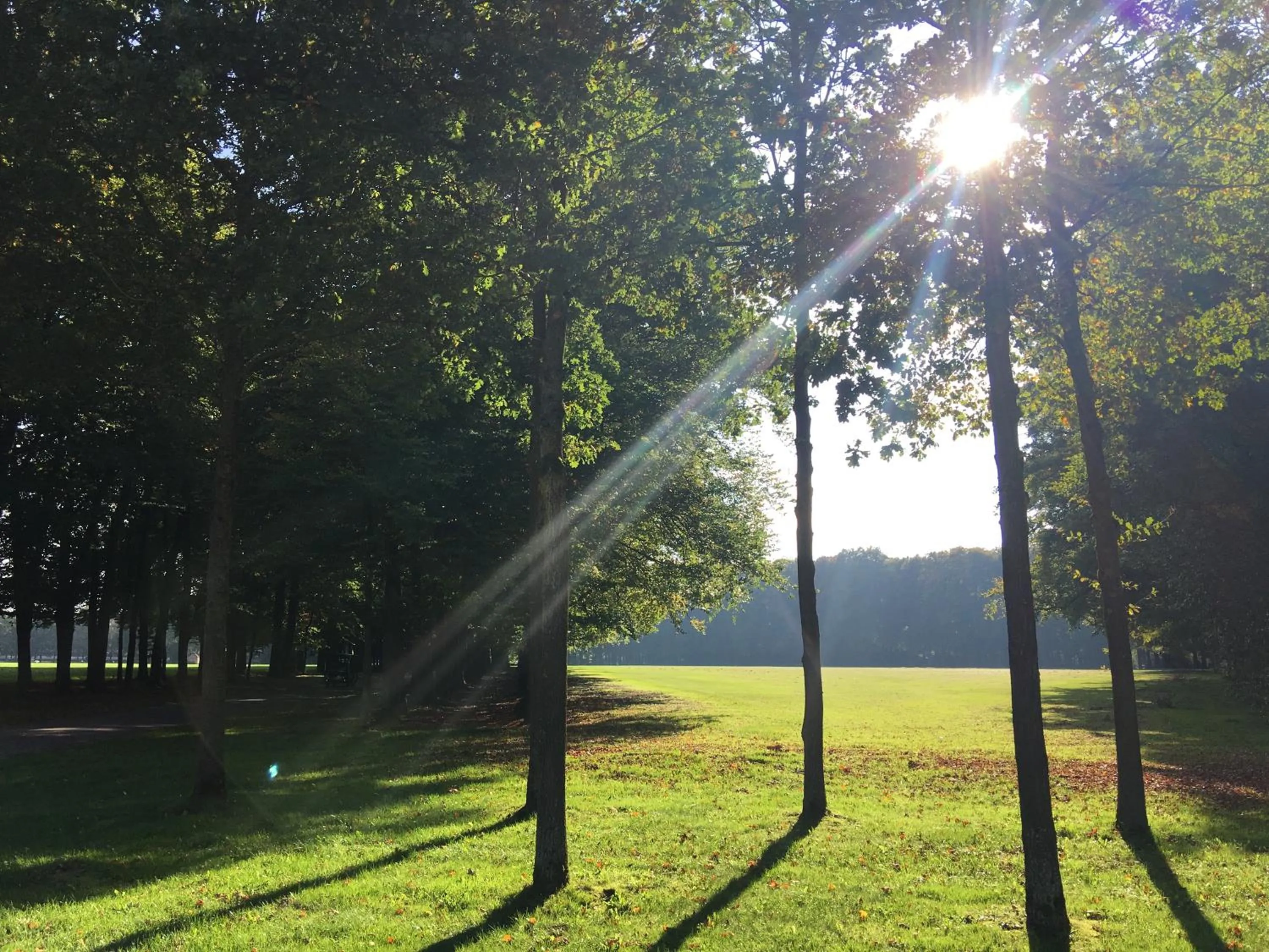 Summer in De Slaapfabriek vakantiehuis en trainingslocatie