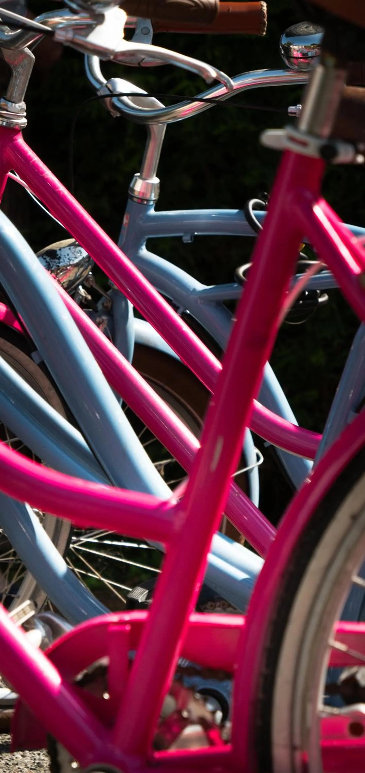 Cycling in La Villa Herbert Maison d'hôtes à Andernos