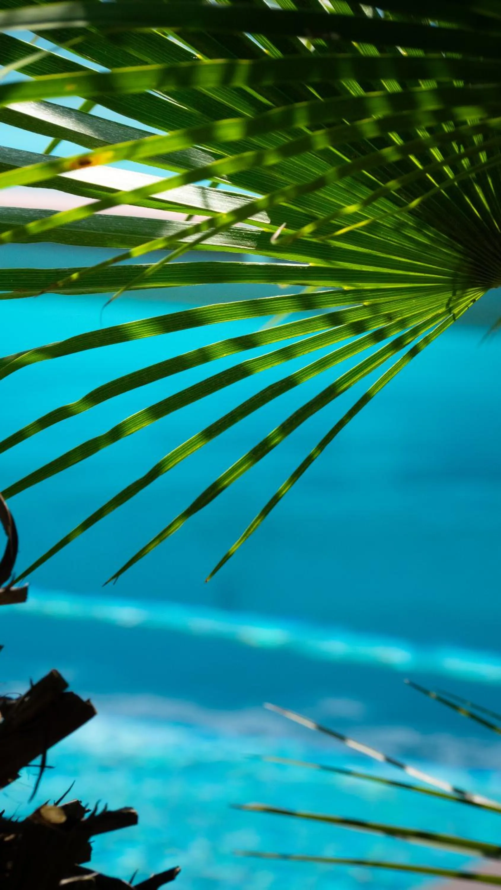 Swimming pool in La Villa Herbert Maison d'hôtes à Andernos