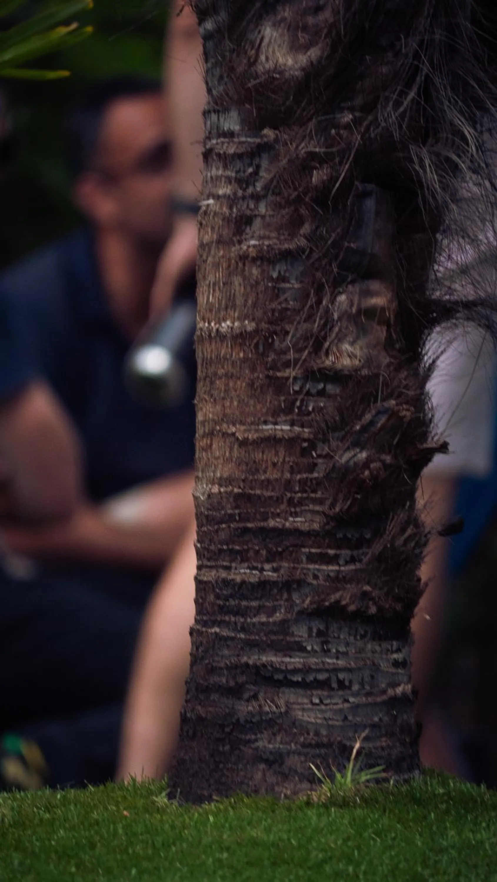 Meeting/conference room in La Villa Herbert Maison d'hôtes à Andernos