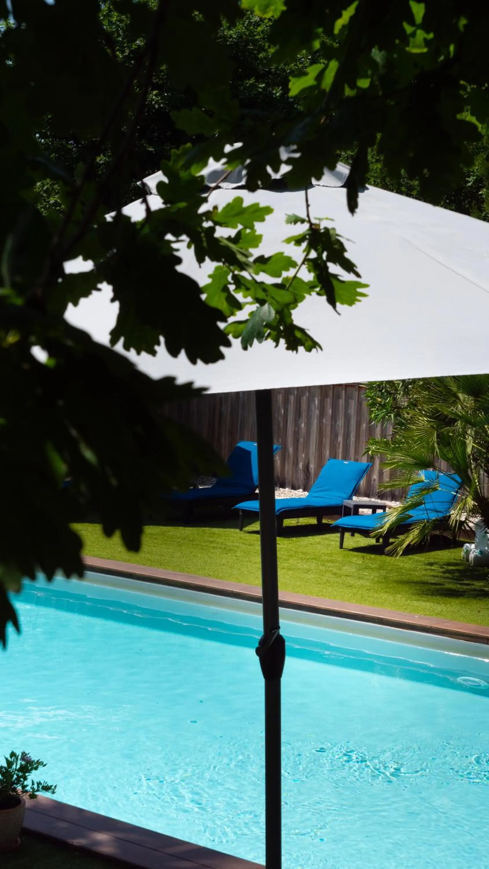 Garden in La Villa Herbert Maison d'hôtes à Andernos