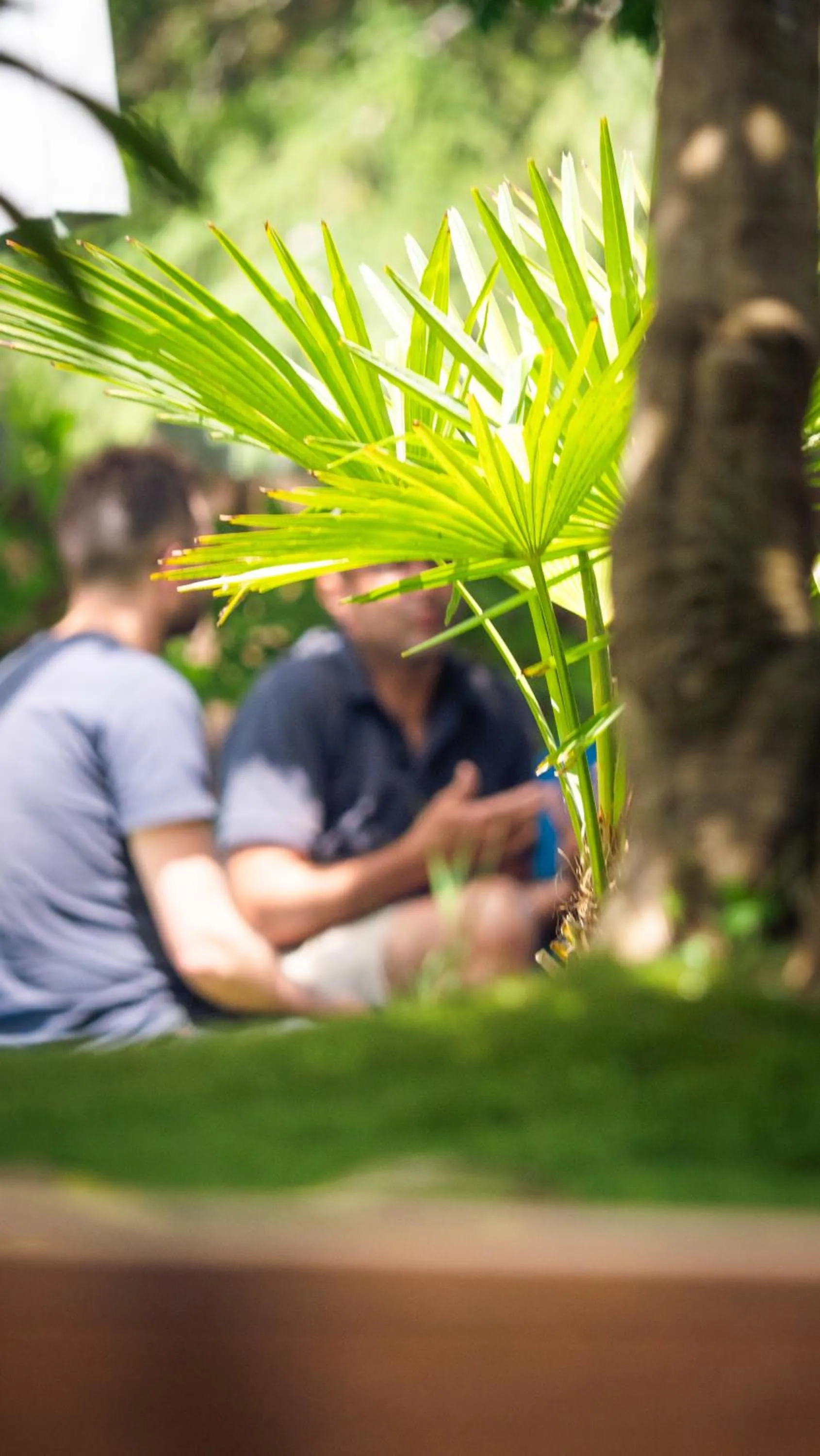 Meeting/conference room in La Villa Herbert Maison d'hôtes à Andernos