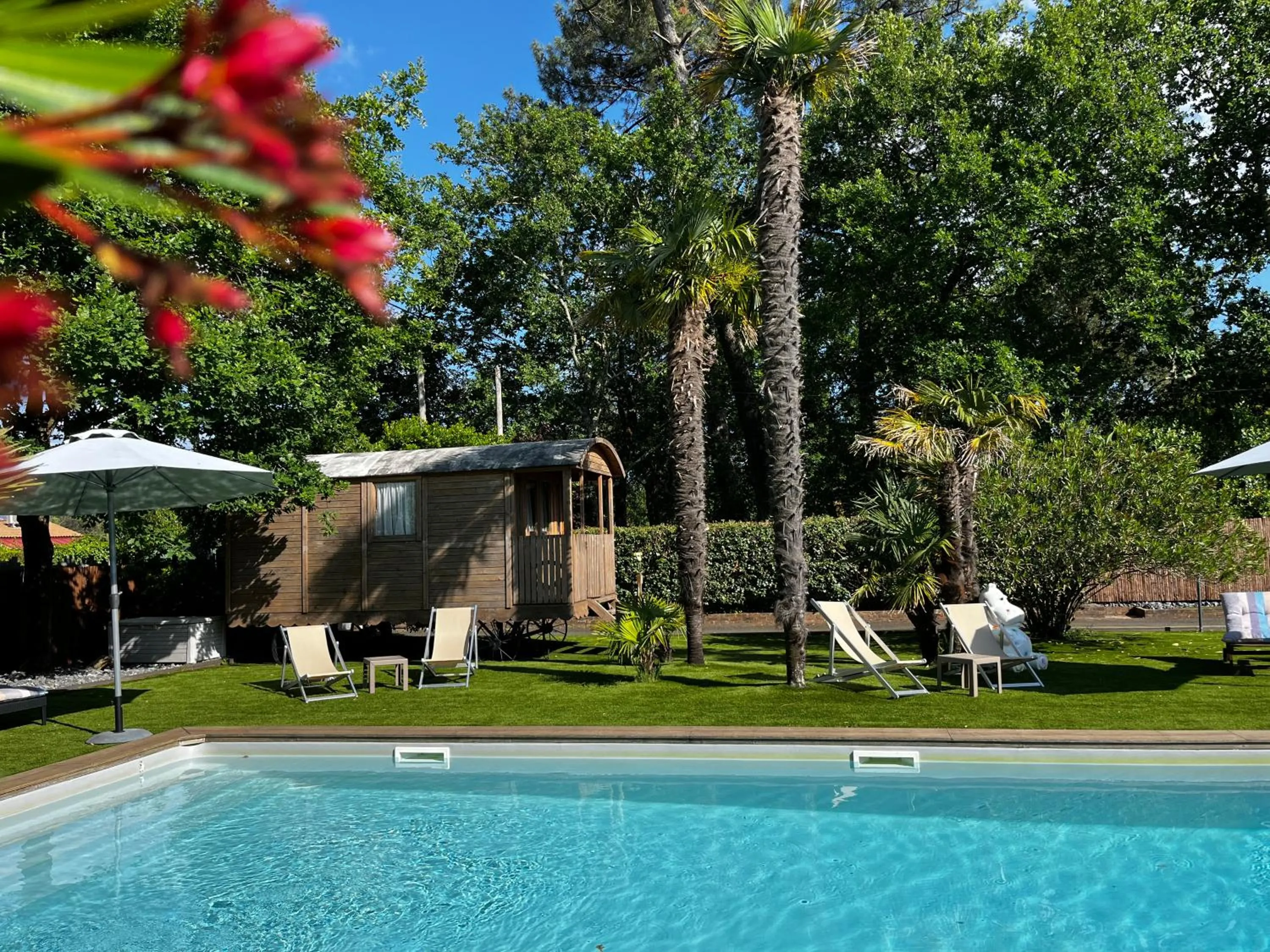 Garden in La Villa Herbert Maison d'hôtes à Andernos