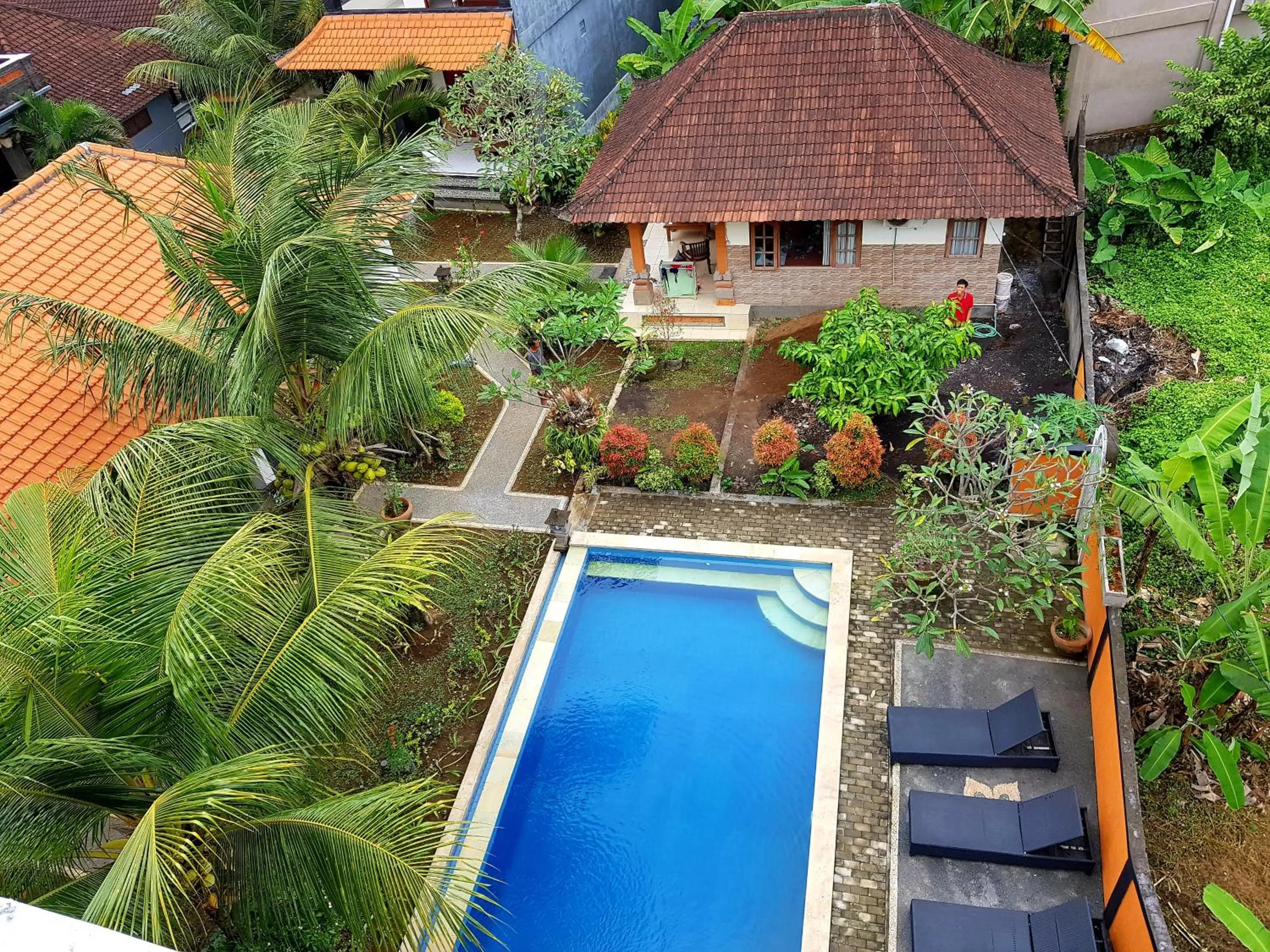 Bird's eye view in Swan Inn