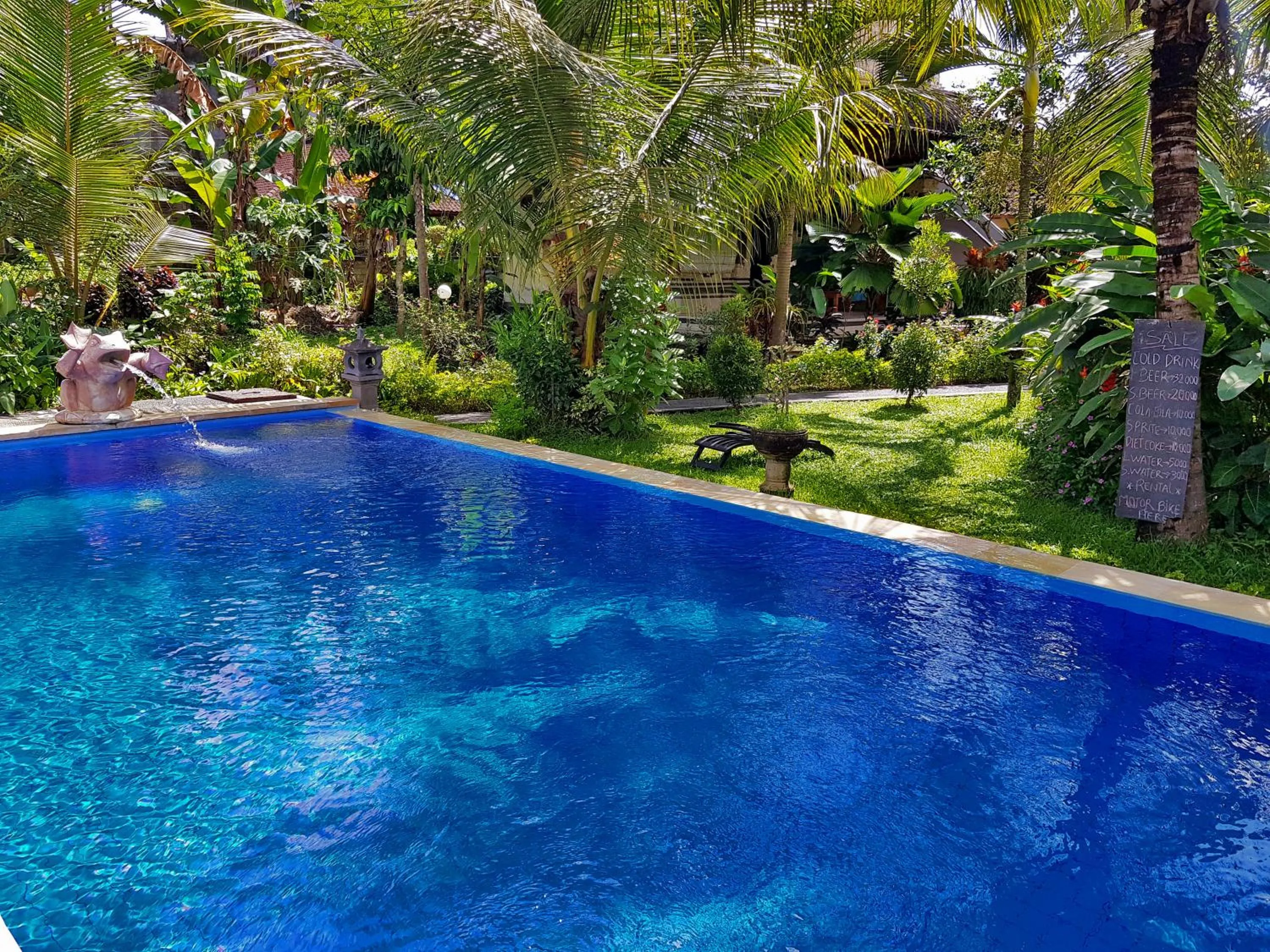 Swimming pool in Swan Inn