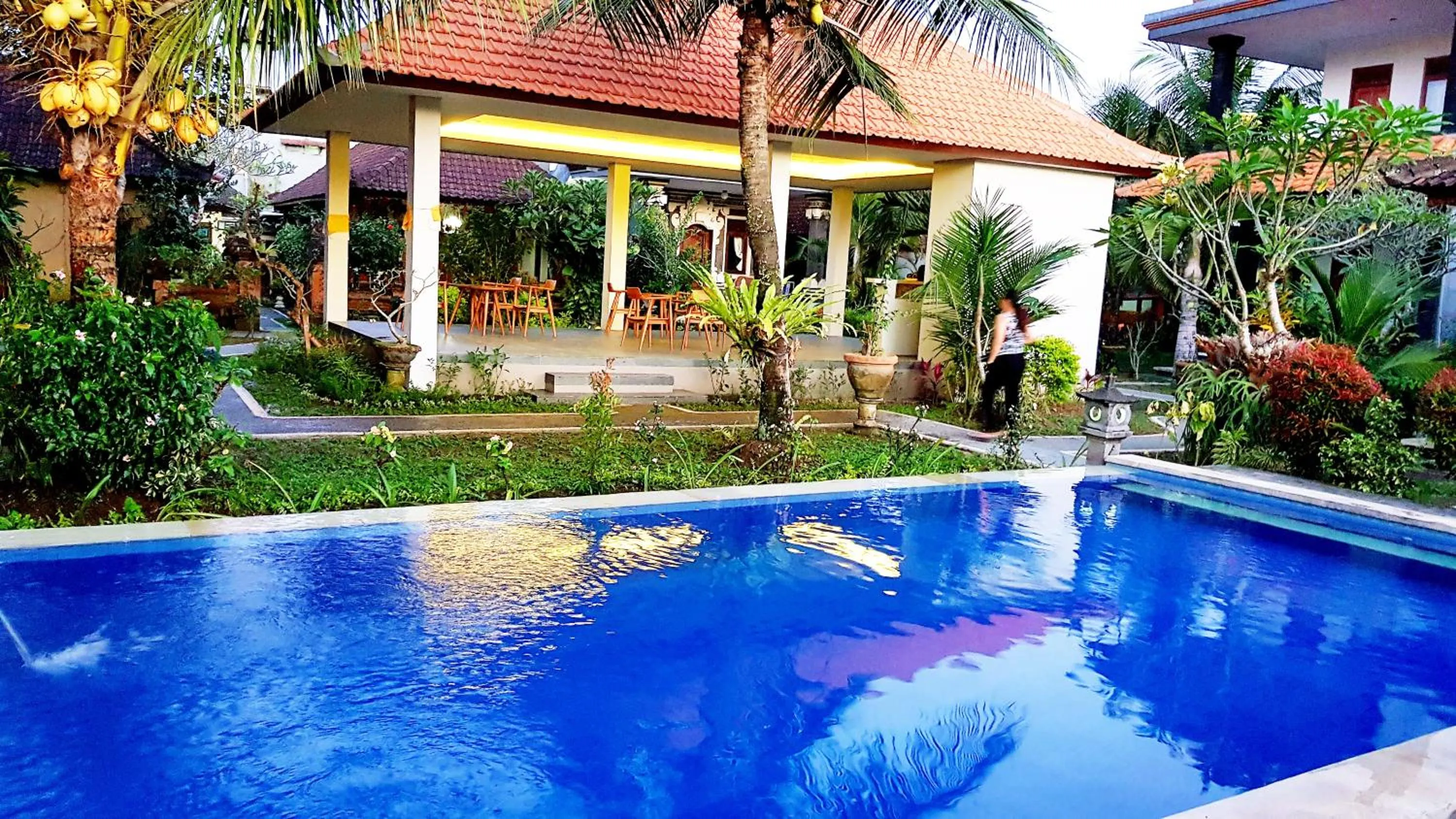 Lounge or bar in Swan Inn