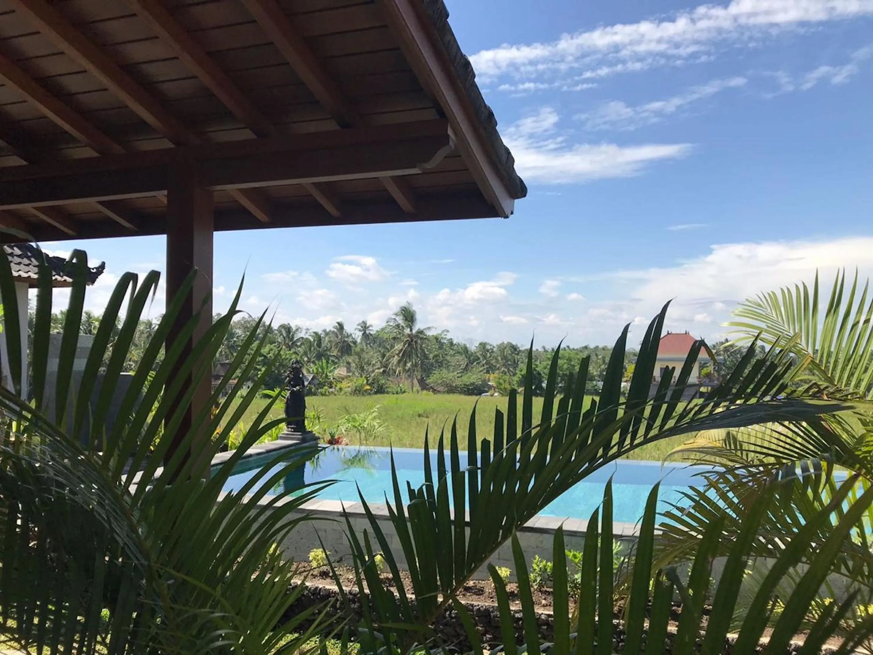 Natural landscape in Paraiso Cottage Ubud