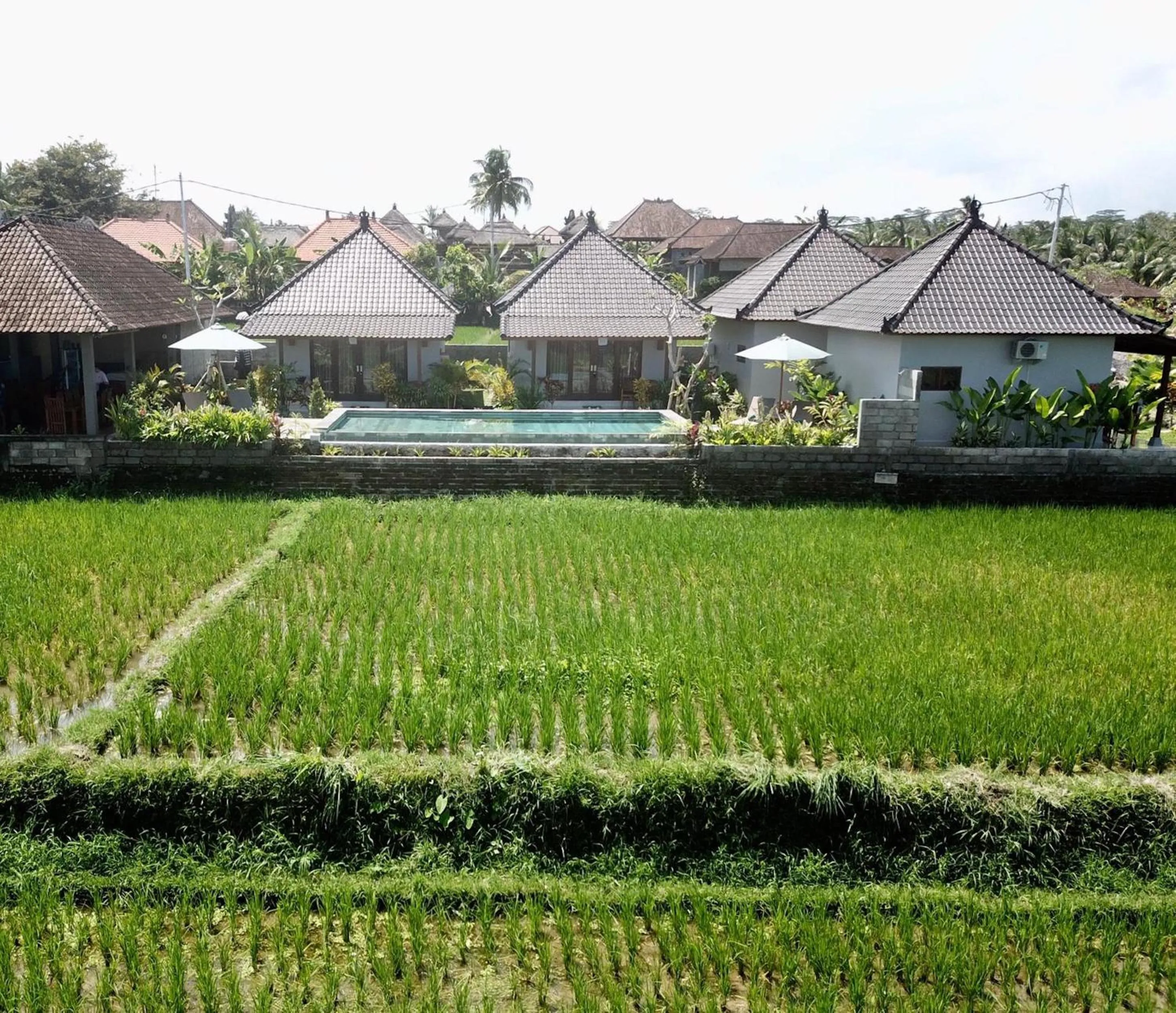 Property building in Paraiso Cottage Ubud