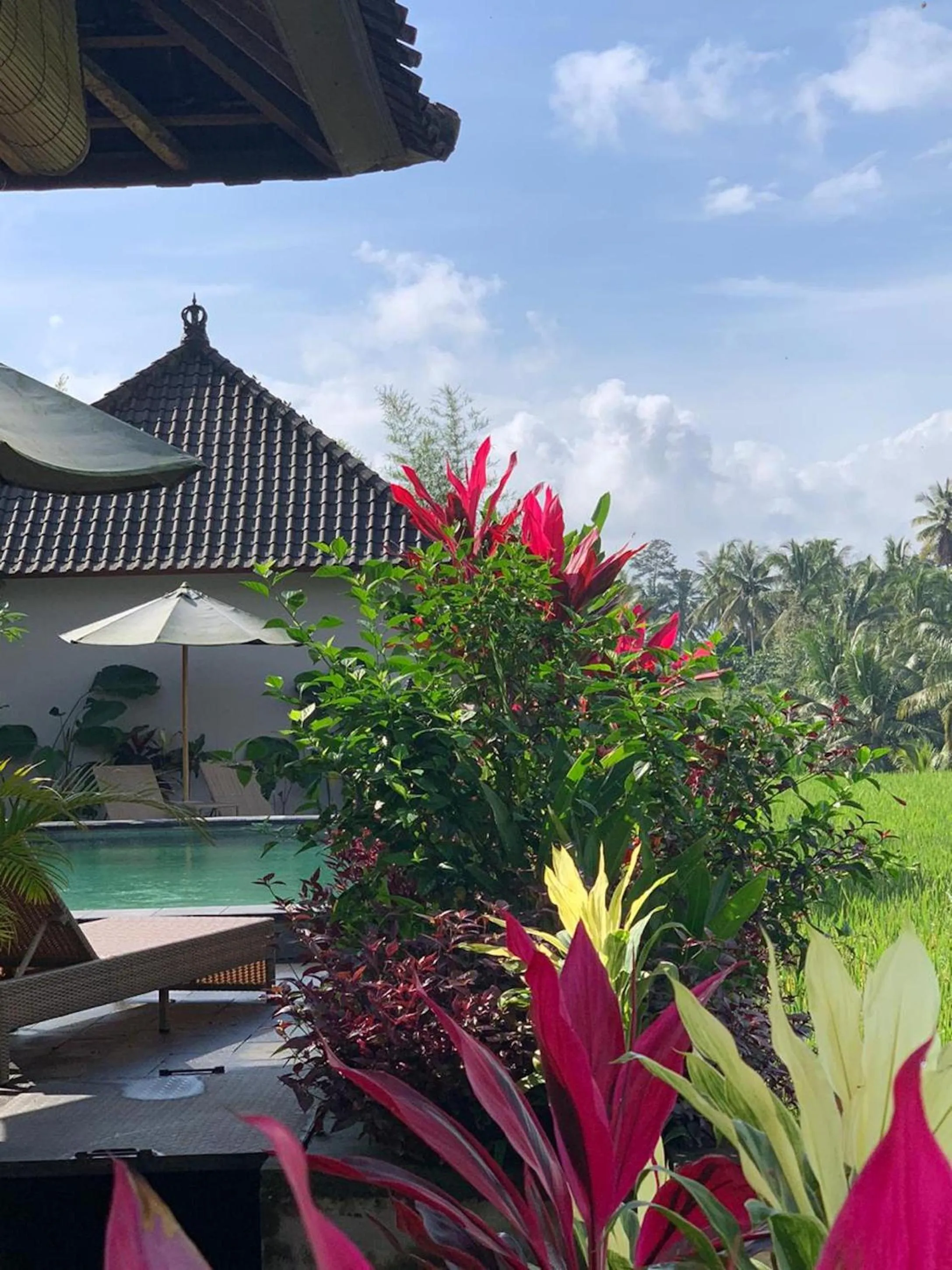 Paraiso Cottage Ubud