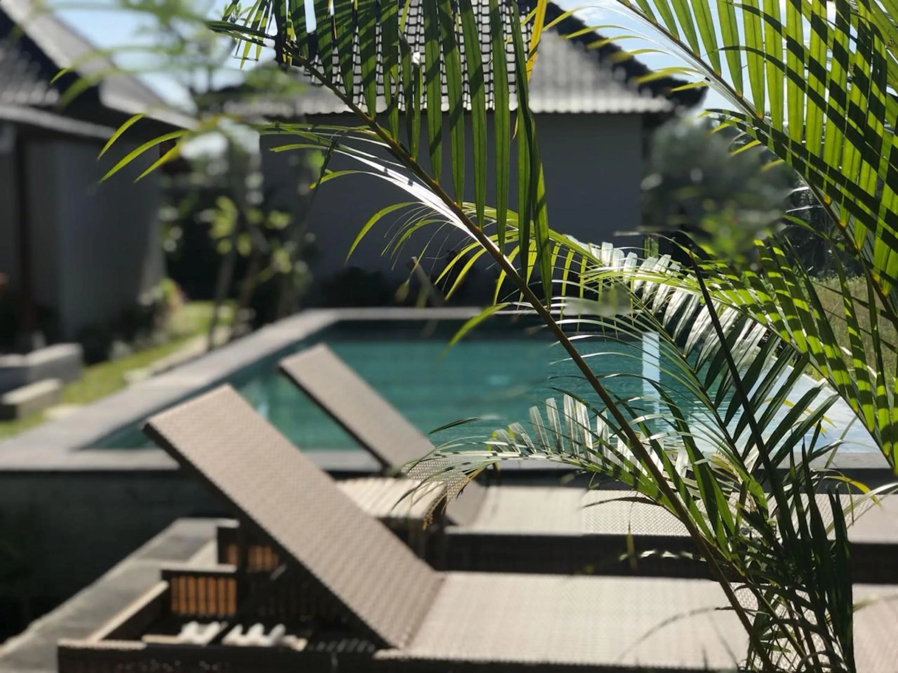 Swimming pool in Paraiso Cottage Ubud