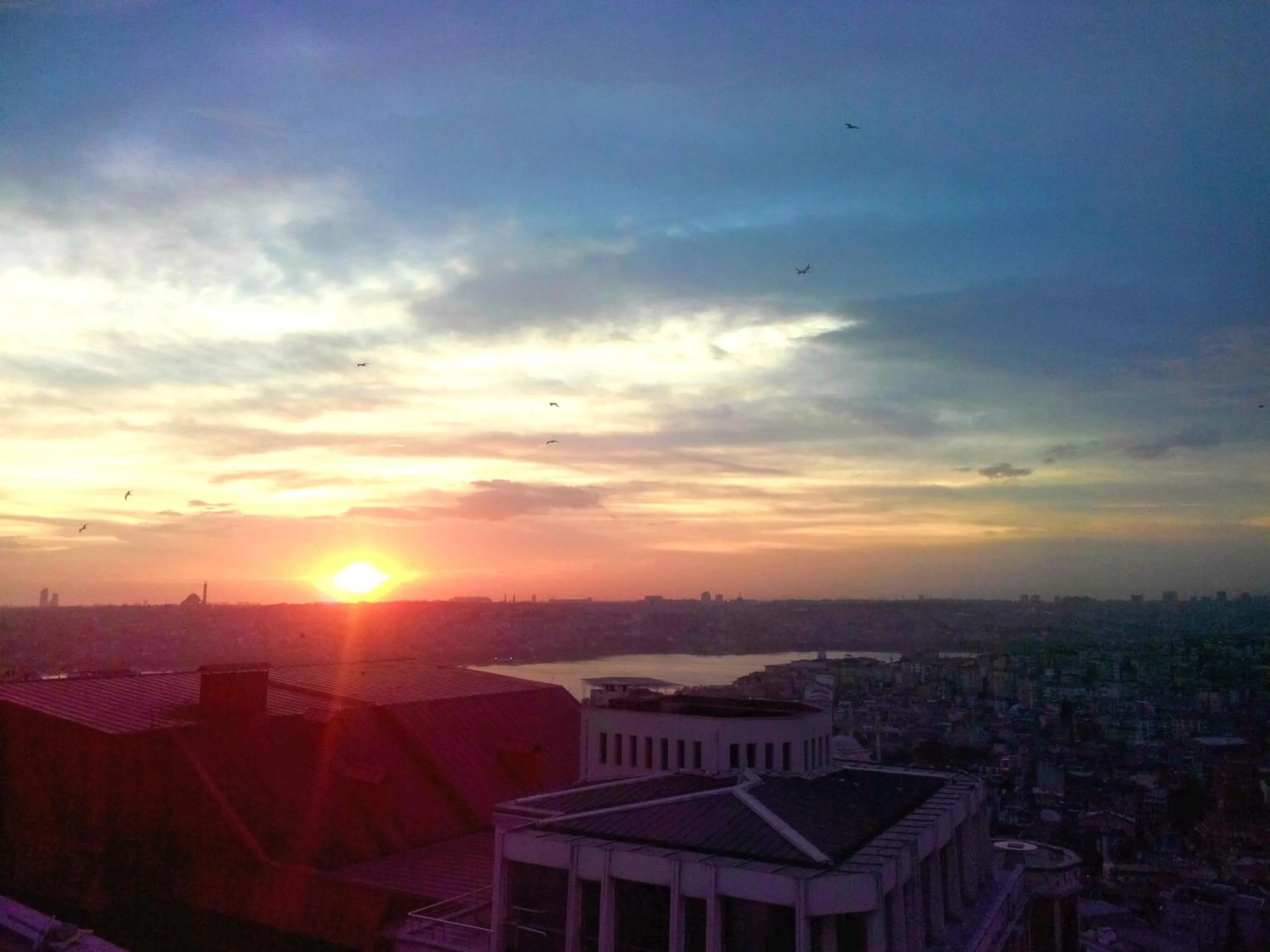 Restaurant/places to eat in Hotel The Pera Hill