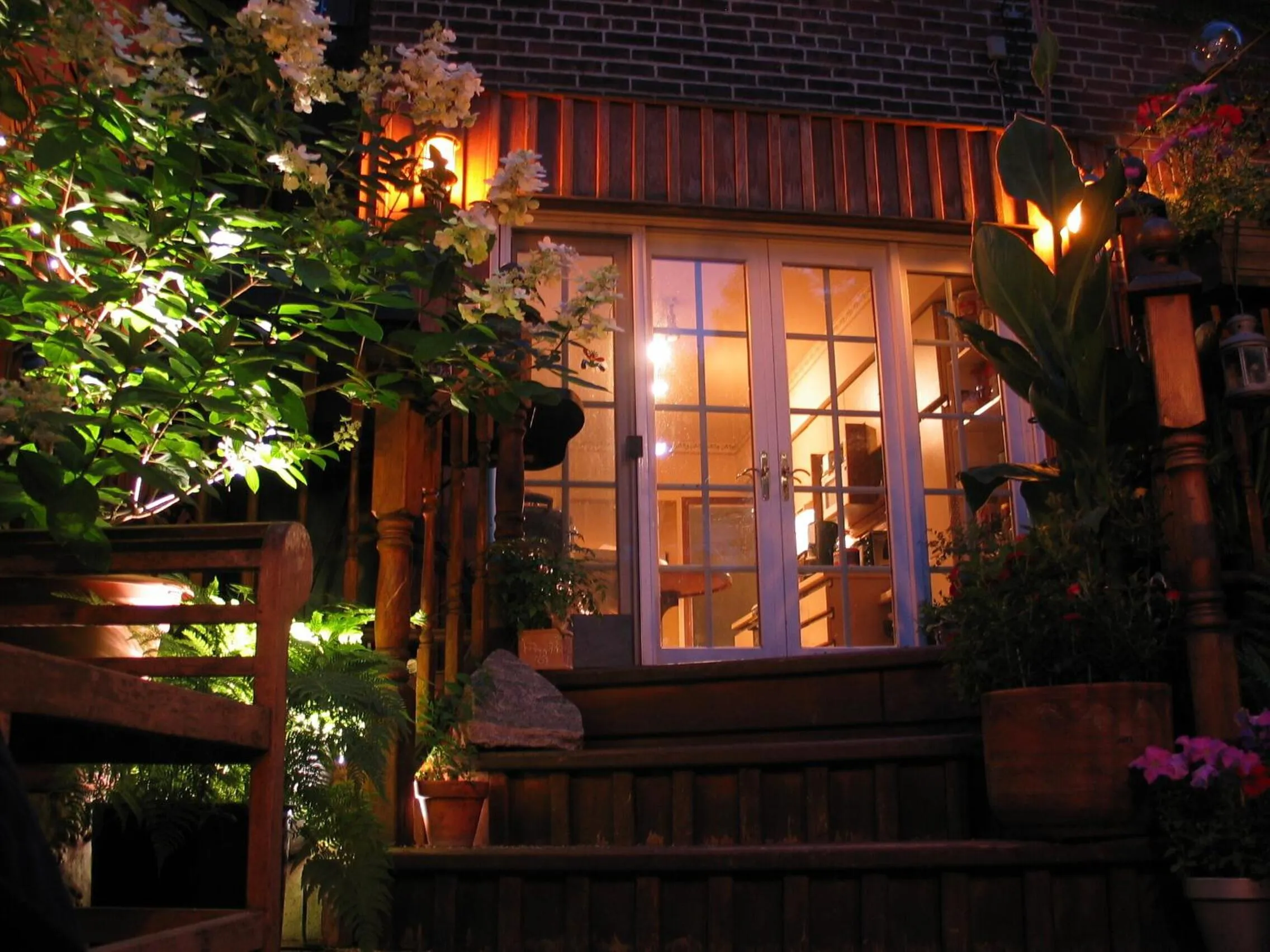 Garden in A Seaton Dream