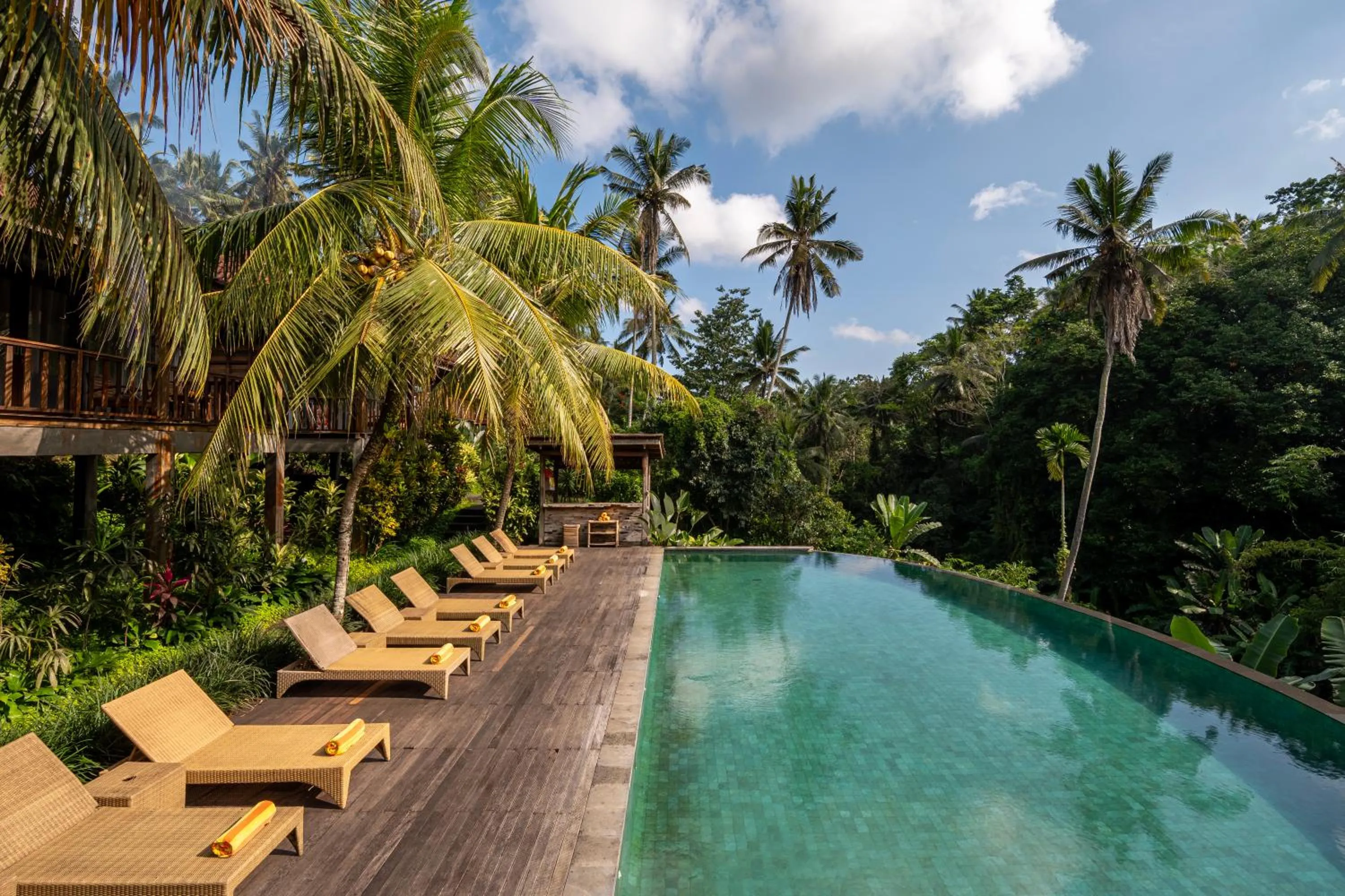 Swimming pool in Pertiwi Bisma 1