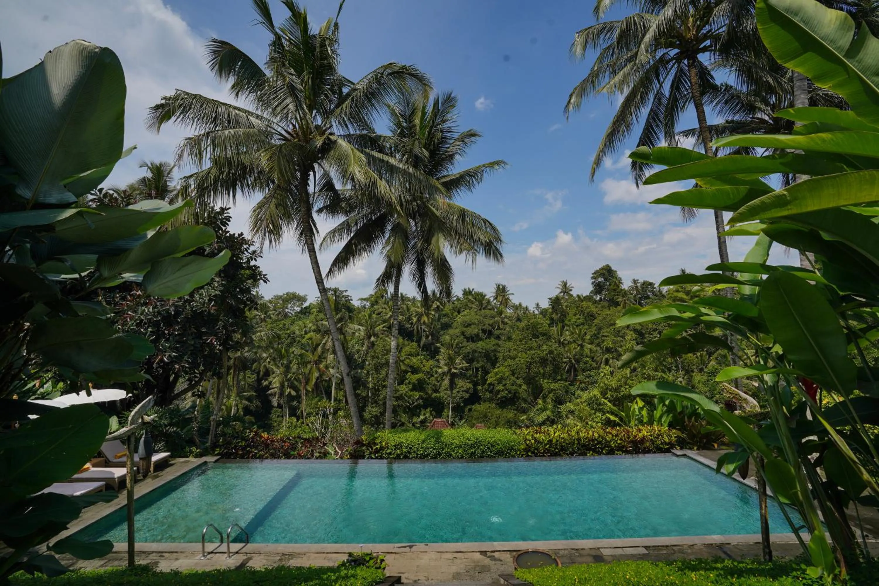 Swimming pool in Pertiwi Bisma 1