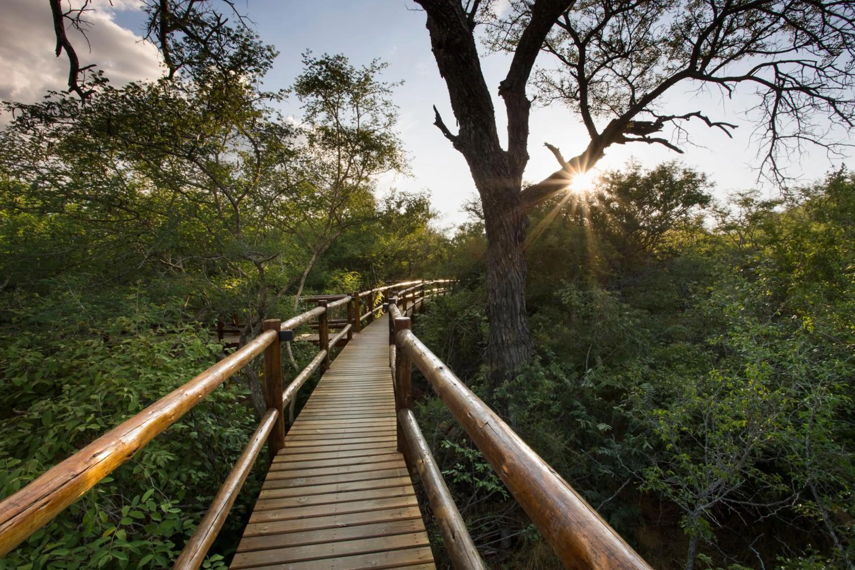 Property building in Vuyani River Lodge