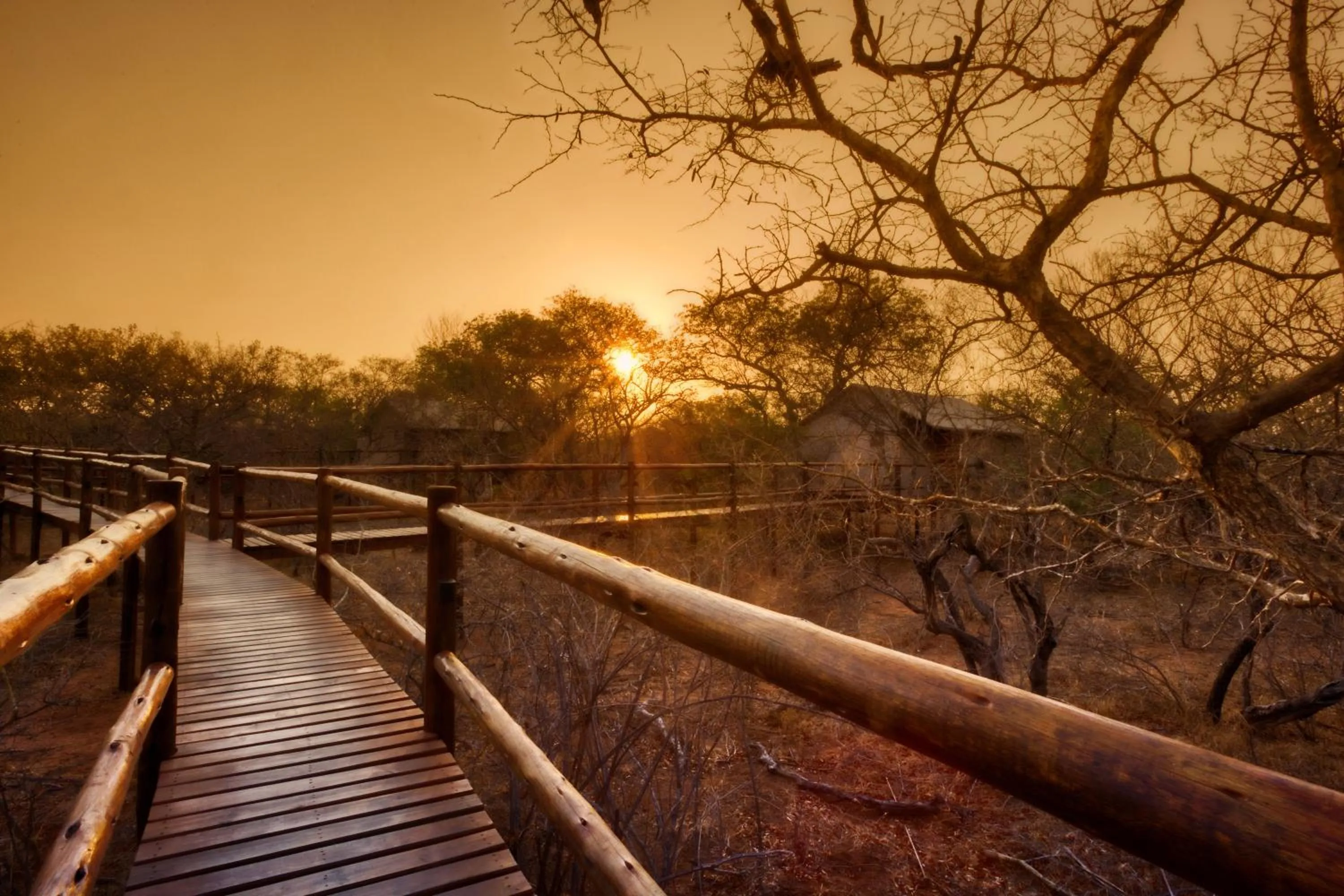 On site in Vuyani River Lodge